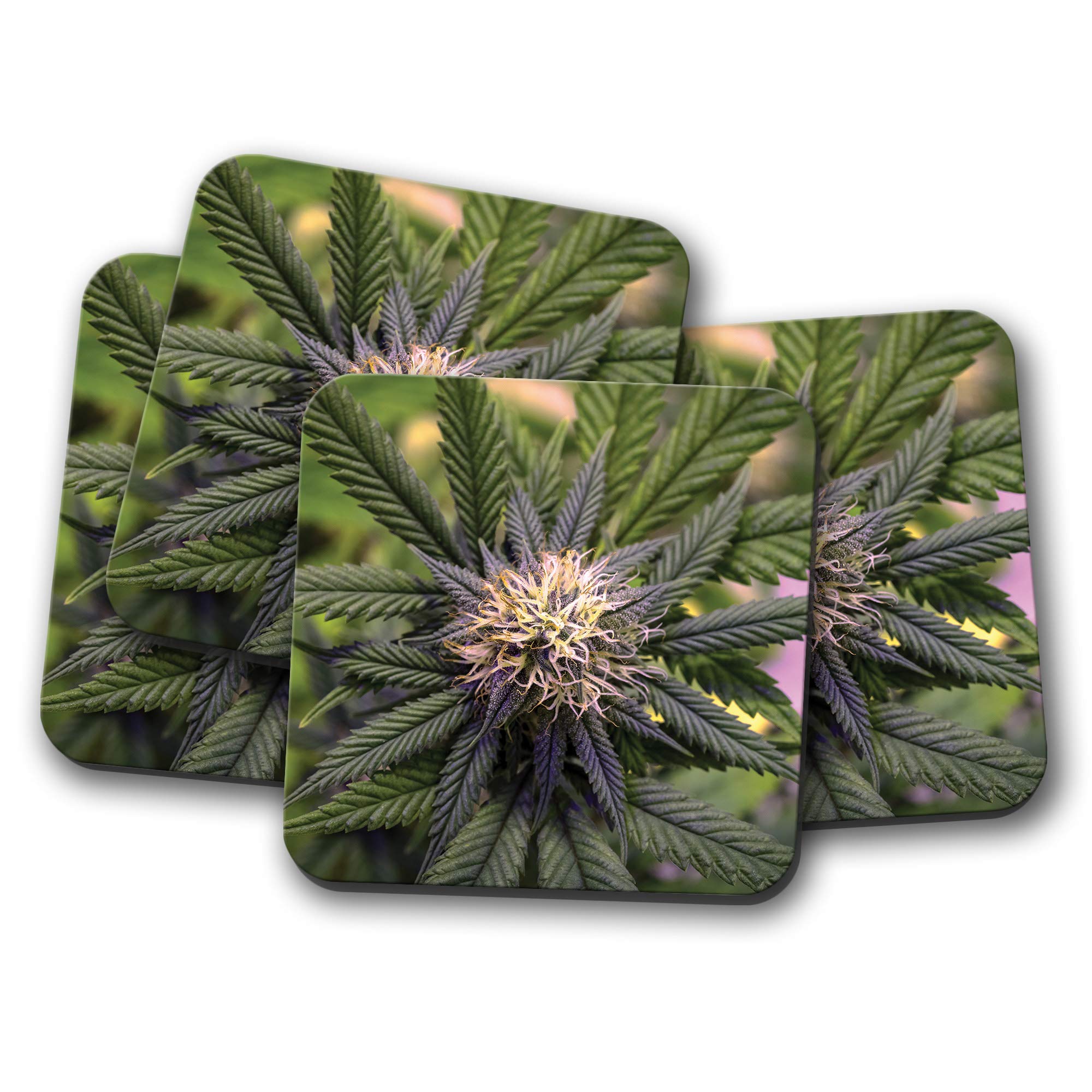 Destination Vinyl Ltd Multicolor 4 Set - Funky Marijuana Coaster - Medical Weed Cannabis Plant Flower #16657