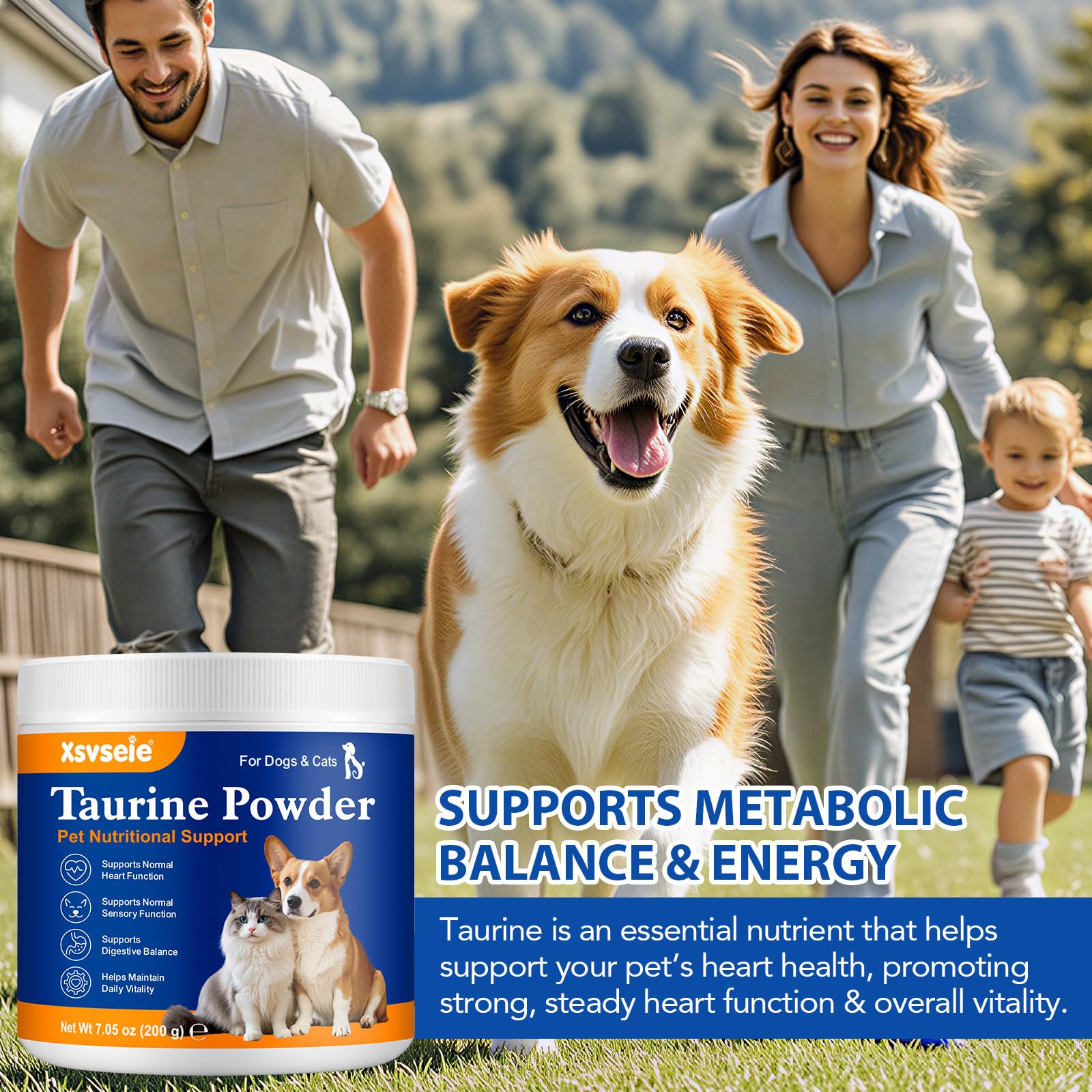 Taurina para Gatos, 200g Pura Garra Pure Taurina Gatos, Mantener la Retina, el Sistema inmunológico y el metabolismo, Mantener la función cardíaca y el Sistema Cardiovascular