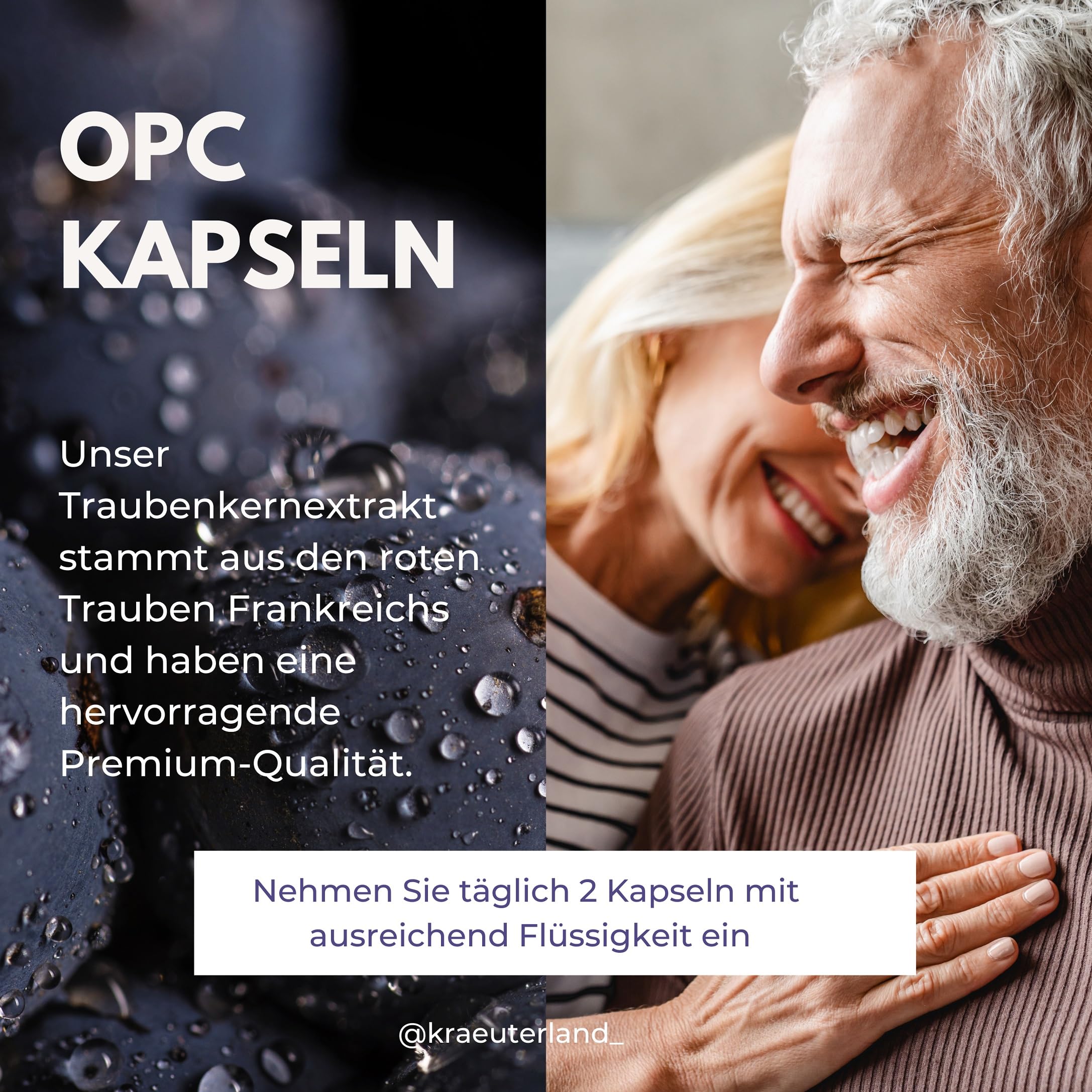 Kräuterland OPC Traubenkernextrakt hochdosiert - 240 Kapseln je 500mg - 950mg Traubenkern OPC pro Tagesdosis - vegan, aus französischen Weintrauben - in Premium Qualität