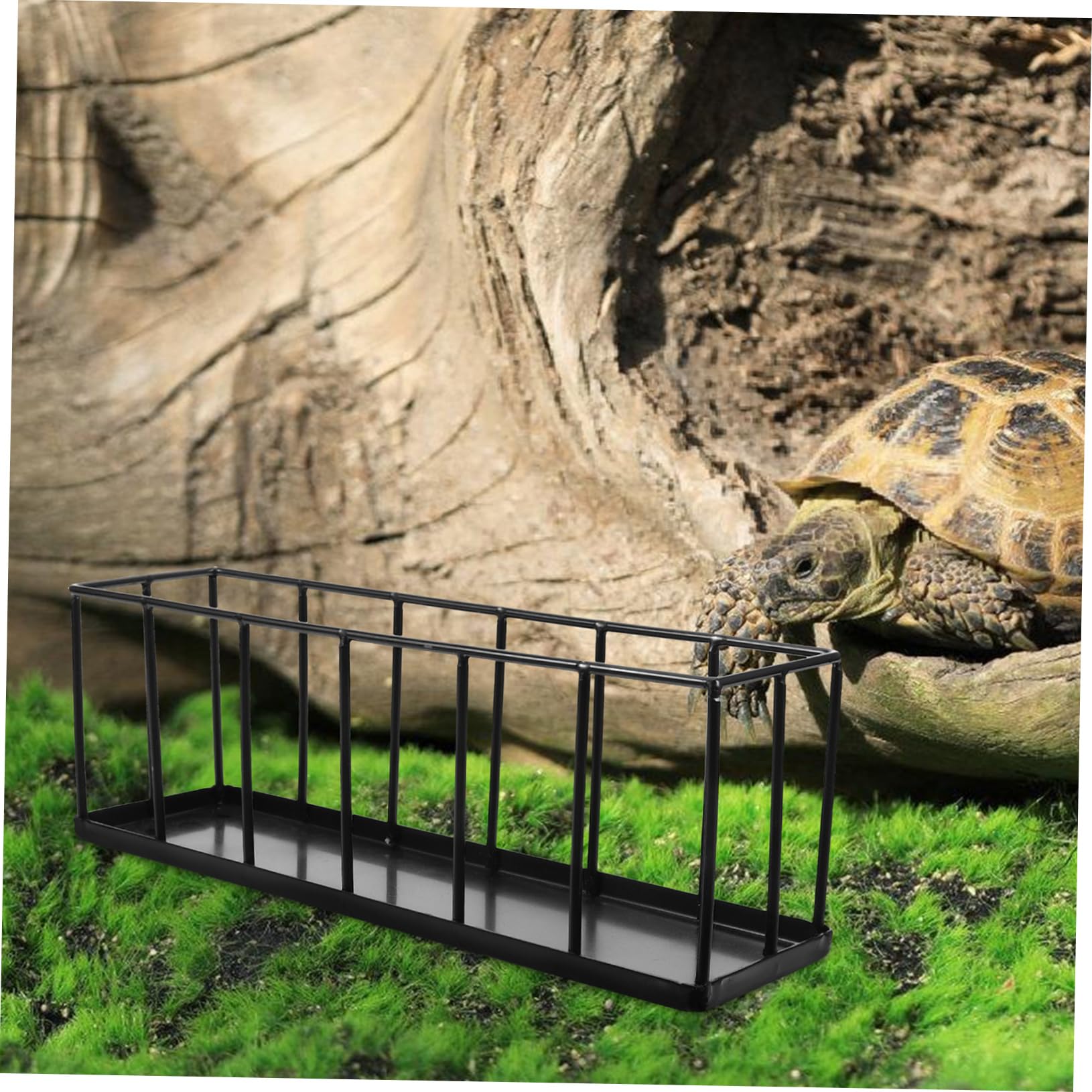 Comedero para Reptiles de Acero Inoxidable Negro para Terrario