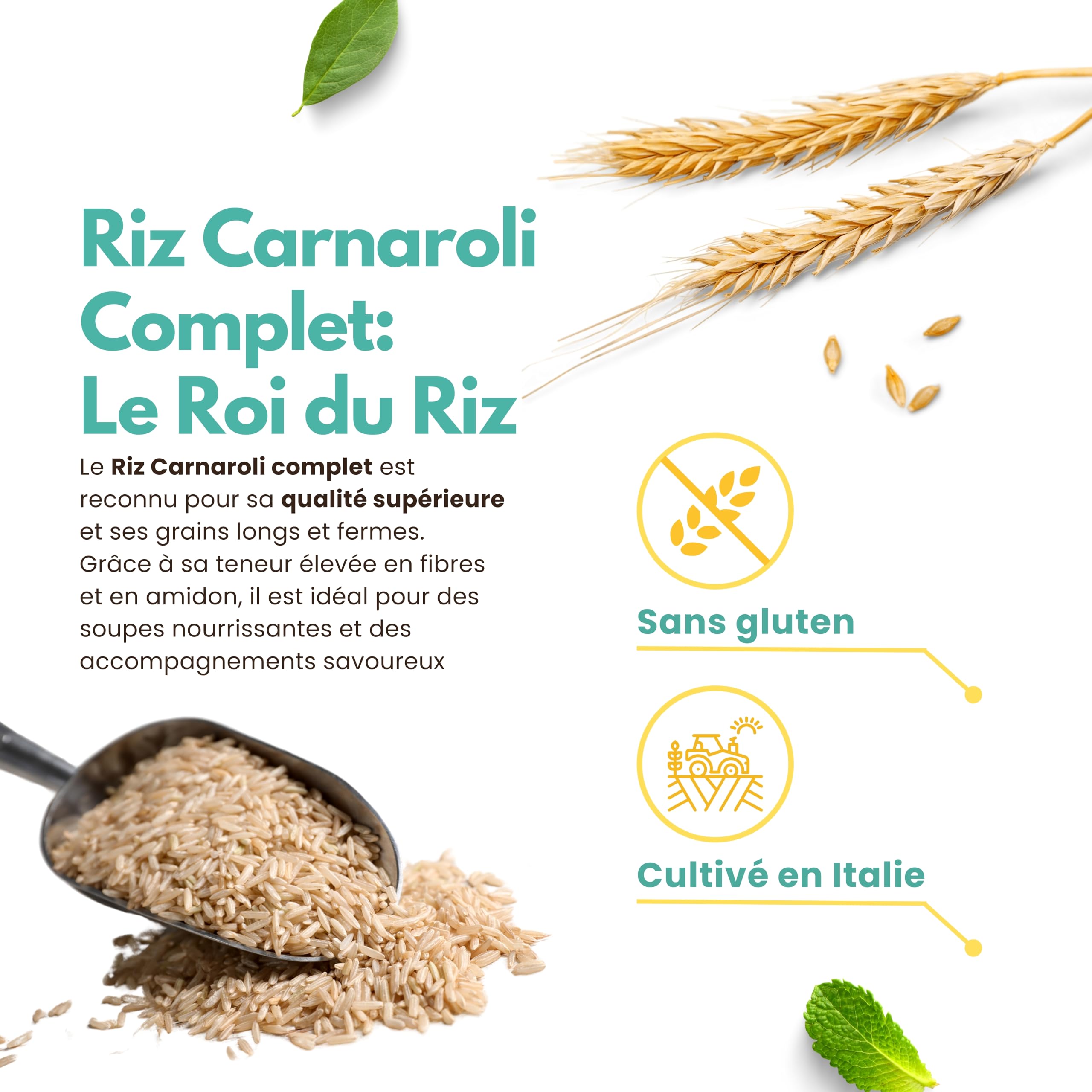 Riz Carnaroli Complet d'Italie 2 kg (2x1 kg) – Riche en Fibres | 2 sachets de 1 kg de riz Carnaroli complet d'Italie, cultivé à Vercelli, riche en fibres et naturellement sans gluten