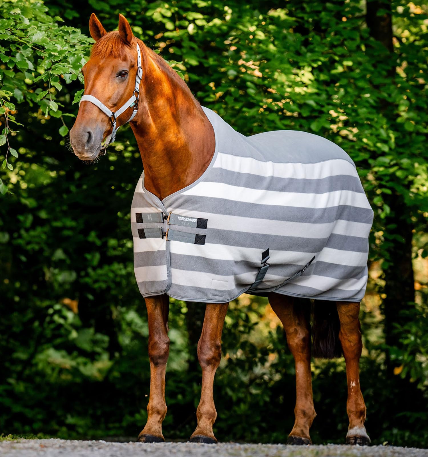 Poney Glacière en polaire anti coup de froid après le travail