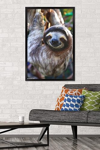 Miniatura 2 de Trends International Sloth - Póster de pared de sonrisa, 22.375 x 34 pulgadas, versión enmarcada en negro