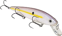 Vista 8 de Strike King KVD Jerkbait 3 Gancho