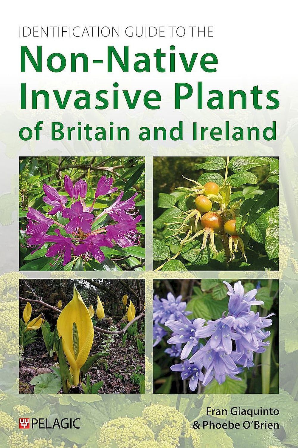Identification Guide to the Non-Native Invasive Plants of Britain and Ireland (Pelagic Identification Guides)