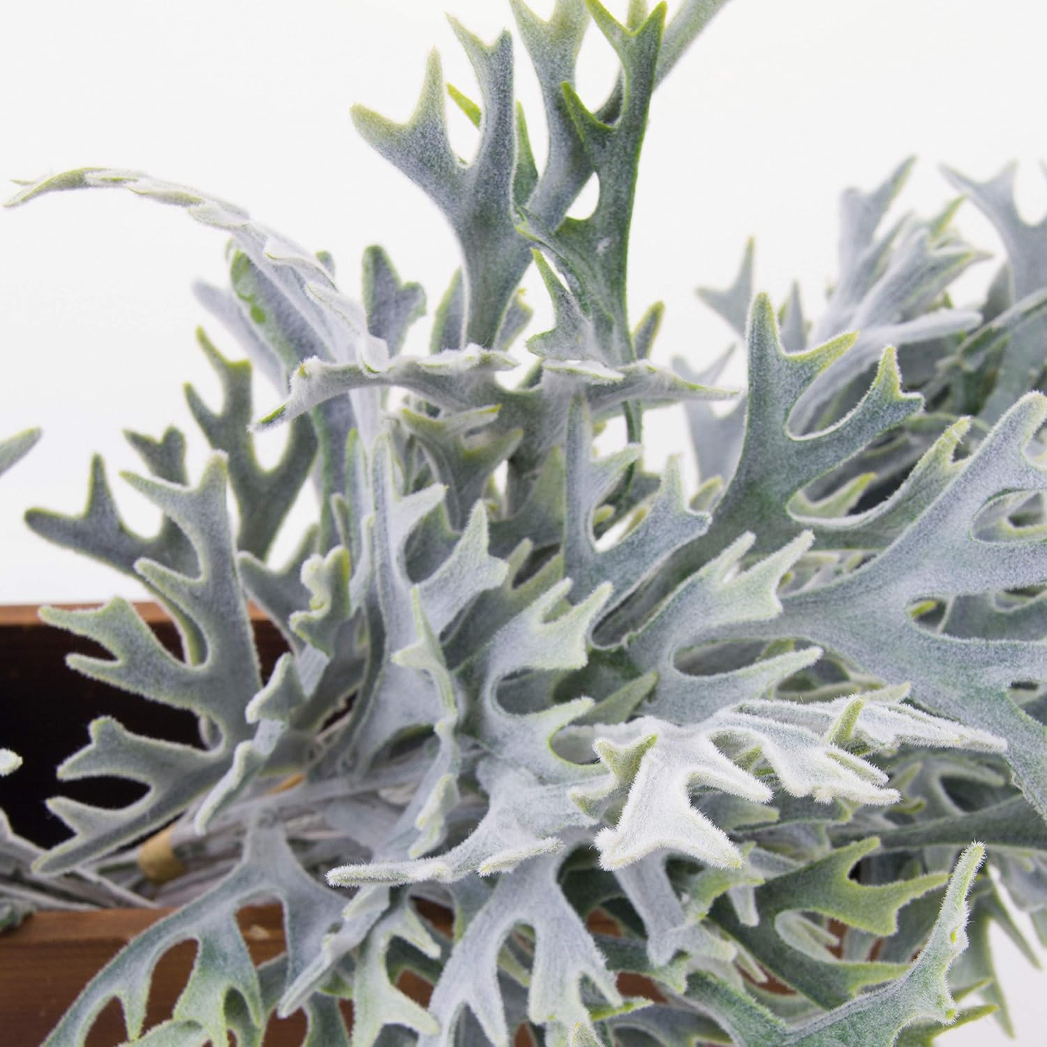 JD Artificial Staghorn Fern 4pcs 15 Inch Faux Tropical Elkhorn Fern Outdoor UV Resistant Greenery Plant for Wedding Bouquet Home Décor Wreath (Whitish Green)