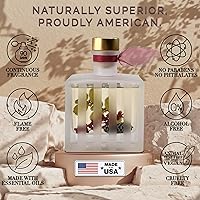 Vista 2 de LOVSPA - Set de difusor de junco, difusor de aceite con fragancia de grosella roja festiva y madera con varillas, accesorios de fragancia