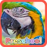 Mammals, Birds, and Reptiles all covered