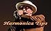 Harmonica Tips
