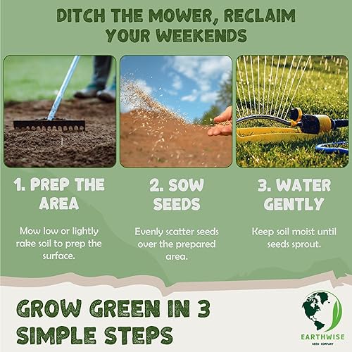 Miniatura 6 de EcoSeed - Hierba para césped, carmesí, 5 libras cubre 1000 pies cuadrados, pleno sol, cultivo de cobertura, uso al aire libre, zonas 6-9 (5 libras)