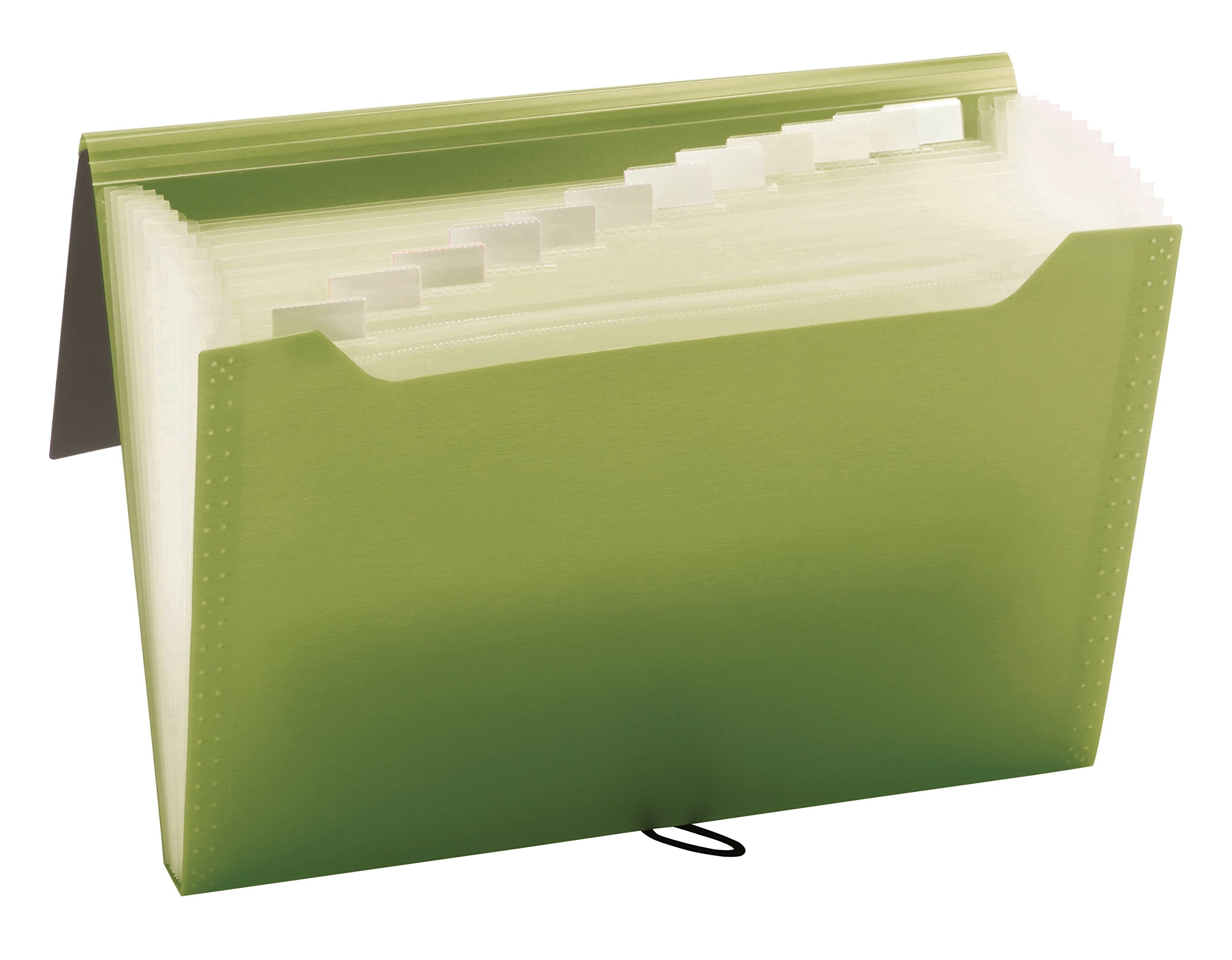 Pendaflex 82113 - Archivador profesional de 13 bolsillos, tamaño de letra, varios colores