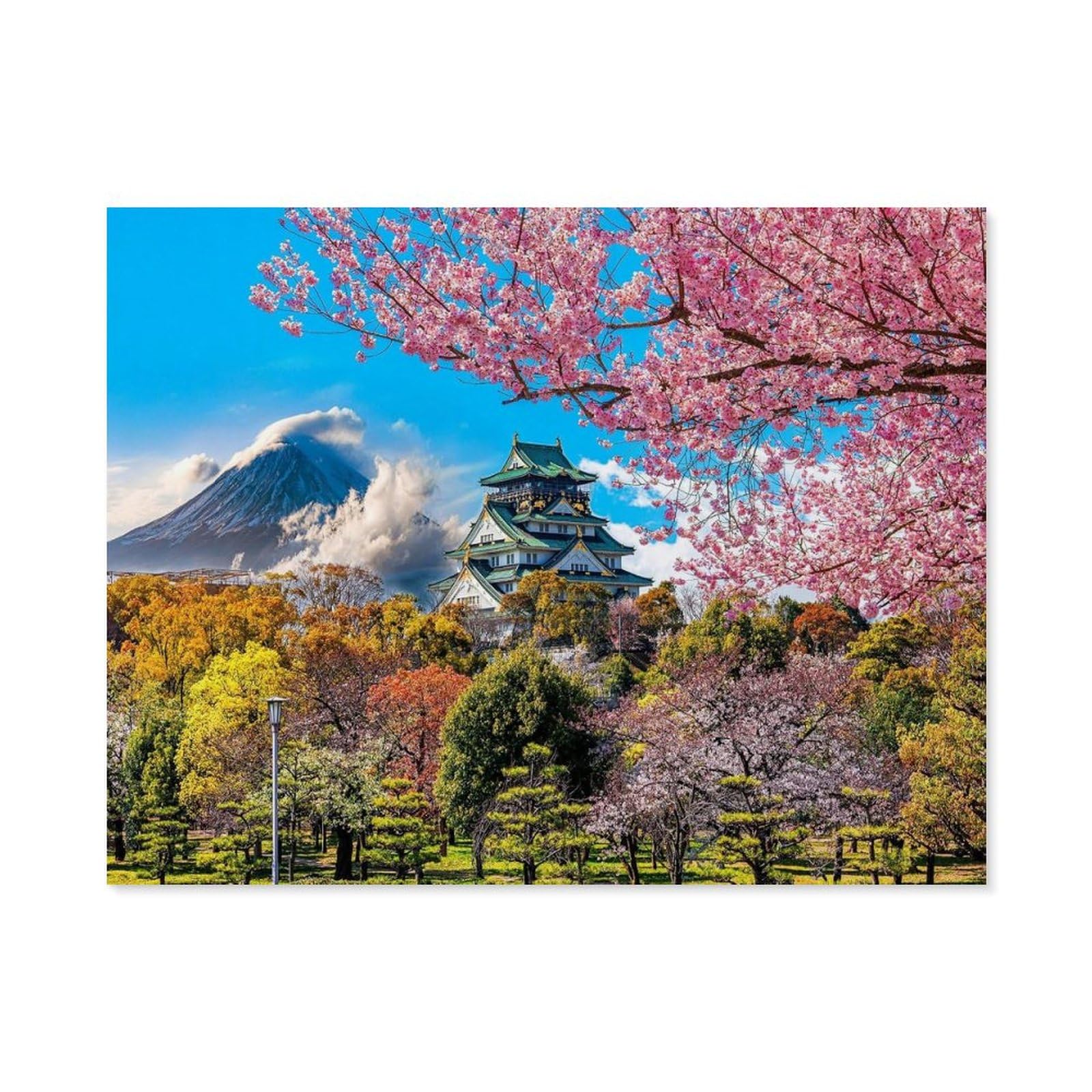 GSBRSNTS Paint by Numbers for Adults，Fuji Cherry Blossom Japan，DIY Oil Painting Kits for Adults Kids Without Frame with Brushes and Acrylic Pigment Paint by Numbers Canvas Arts Crafts (40x50cm-B76