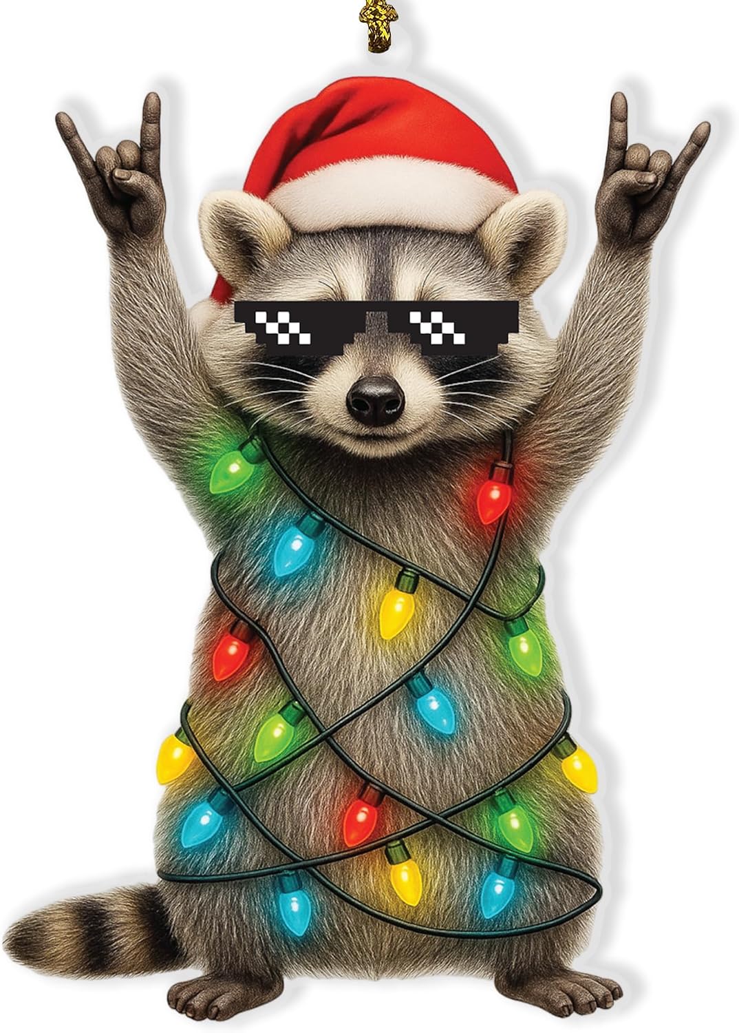 Funny Raccoon Ornament, 2025 Funny Chirstmas Ornaments for Adults, Fun Raccoon Gifts for Women, Men, Friends, Family, Coworkers, Animal Ornament Christmas Decorations