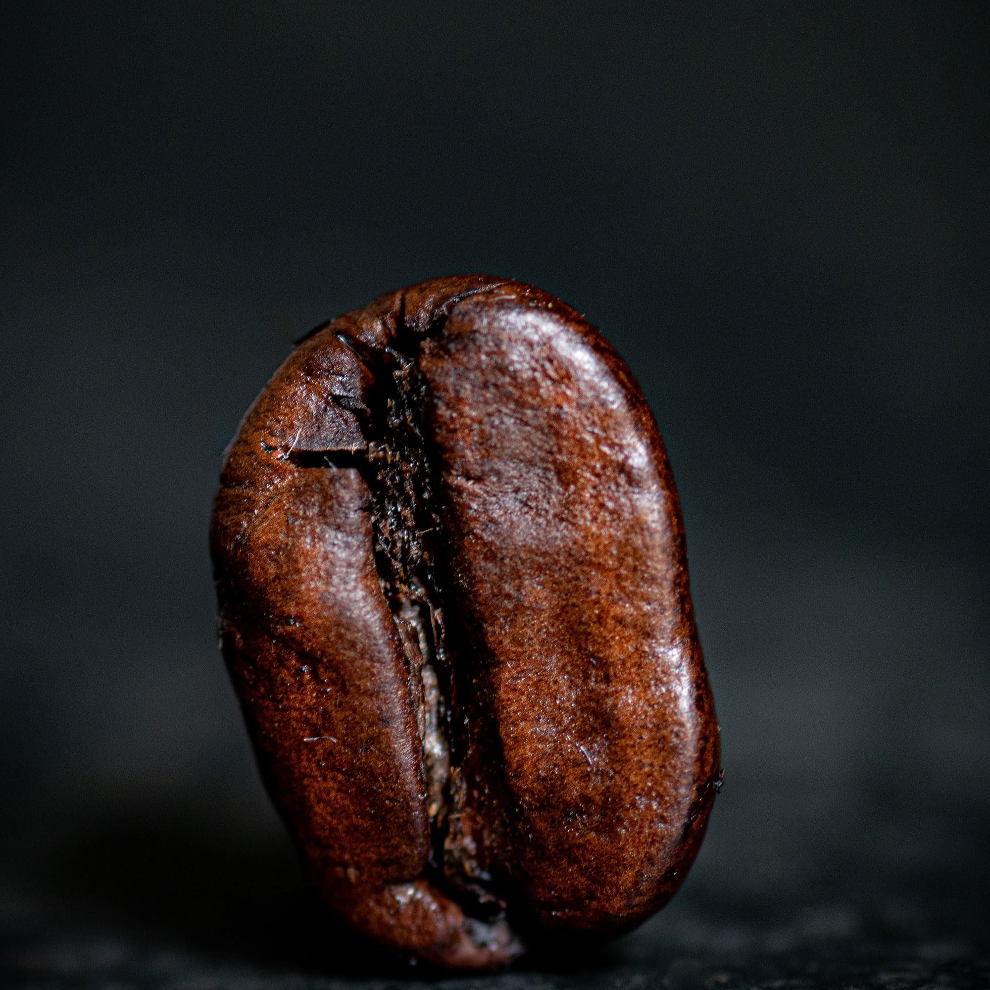 ESCURO Granos de café 1 kg de bajo ácido | Filamento aromático: cacao, nogal, azúcar de caña | 100 % granos de café Arabica Single Origin (Brasil, Sul de Minas) | perfecto para portafiltros, cafeteras automáticas y máquinas espresso