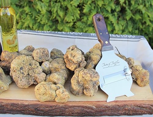 Miniatura 10 de 1 oz (28gr) Trufas Blancas Frescas (Tuber Magnatum Pico) por Taste of Truffles