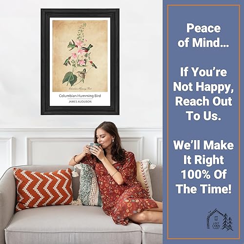 Vista 354 de Towee Bunting by James Audubon - Marco biselado negro de 12 x 16 pulgadas, decoración artística enmarcada para pared, reproducción de pinturas