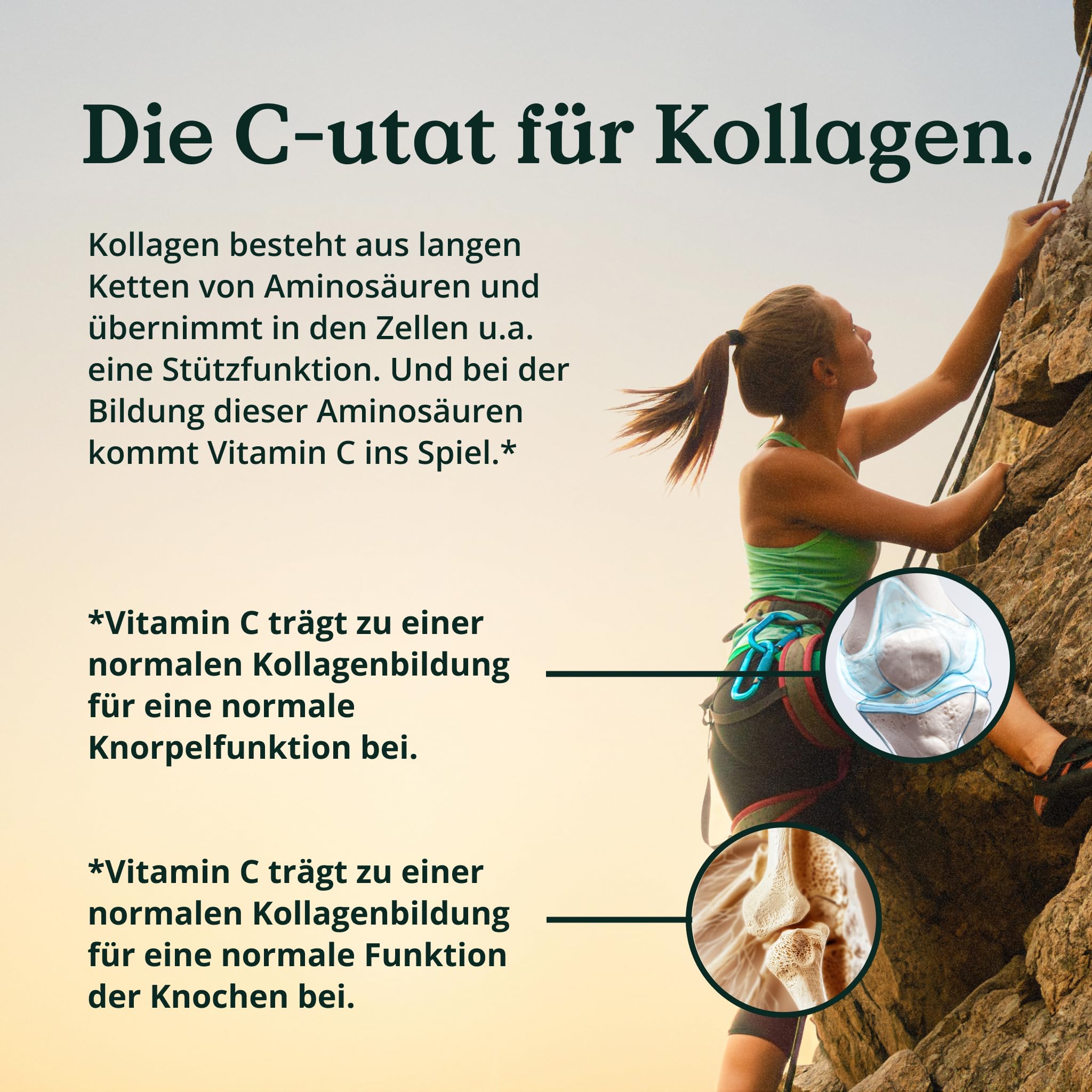 NATURE LOVE® MSM 2000mg mit Vitamin C - 365 laborgeprüfte Tabletten - Kompakteres MSM Pulver als bei Kapseln - Ohne Zusätze, hochdosiert, vegan, in Deutschland produziert