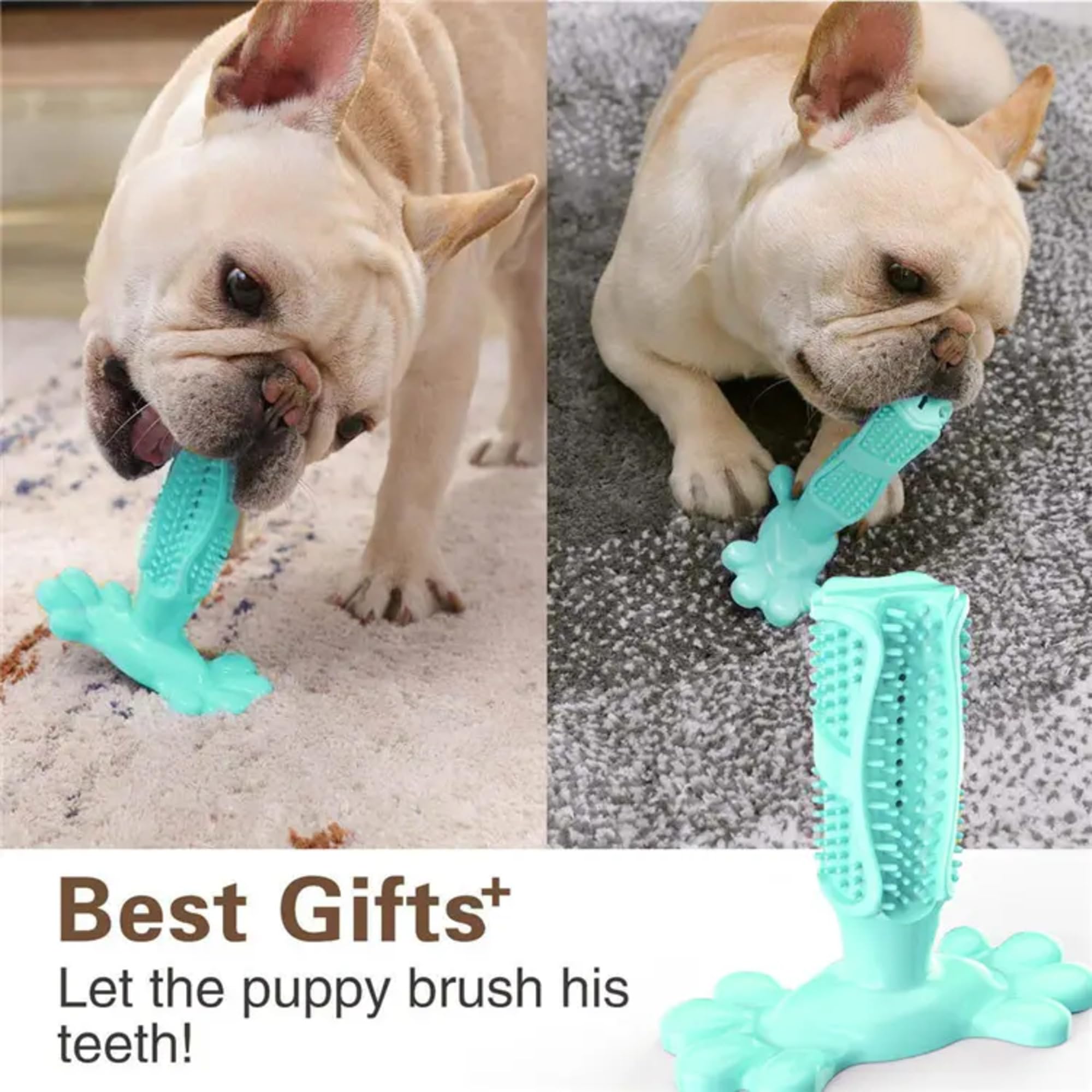 Jouet à mâcher pour chien, bâton de brosse à dents pour chien, jouets interactifs pour les mâcheurs agressifs, jouets interactifs, jouet robuste pour les garder occupés à mâcher pour petits