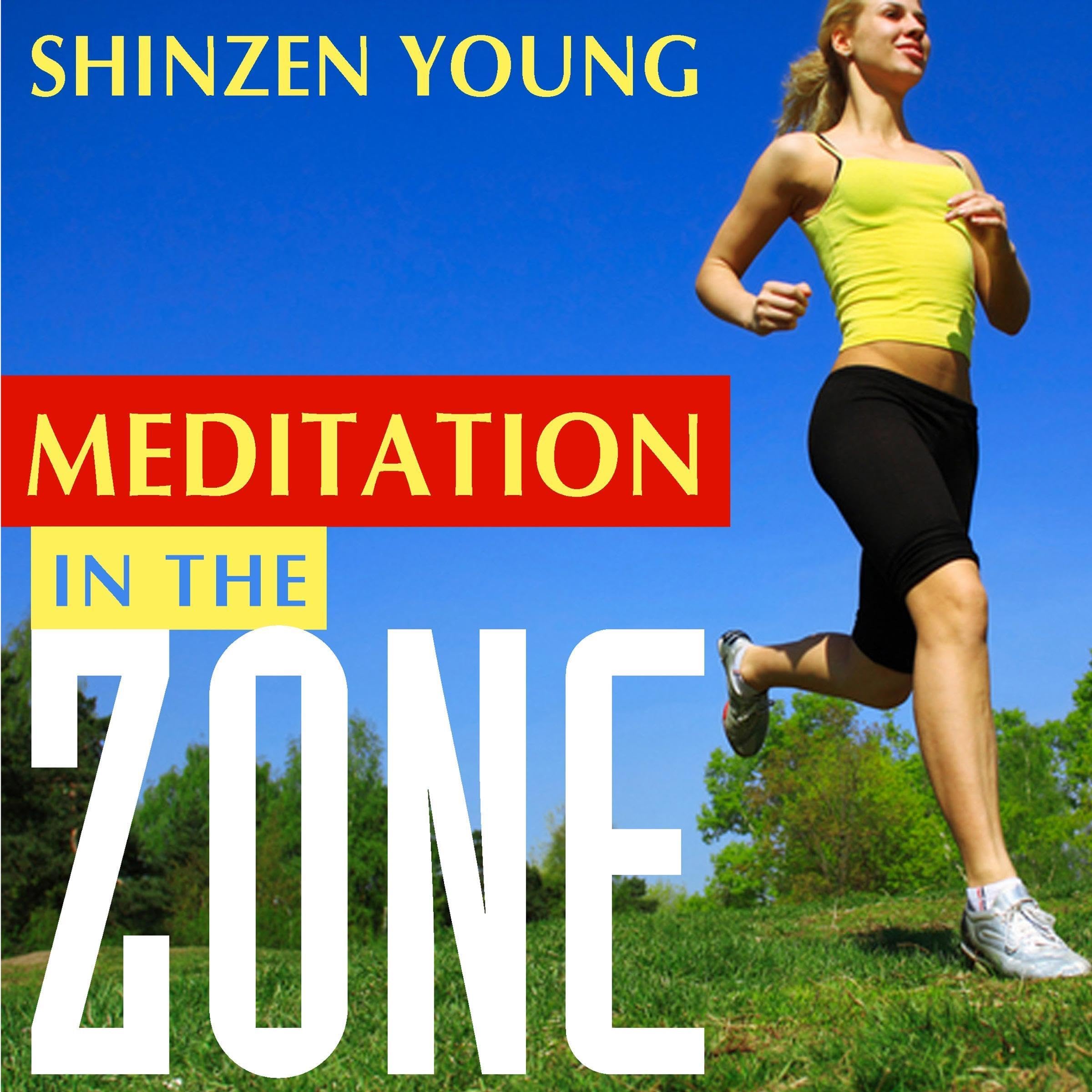Cover art for Meditation in the Zone