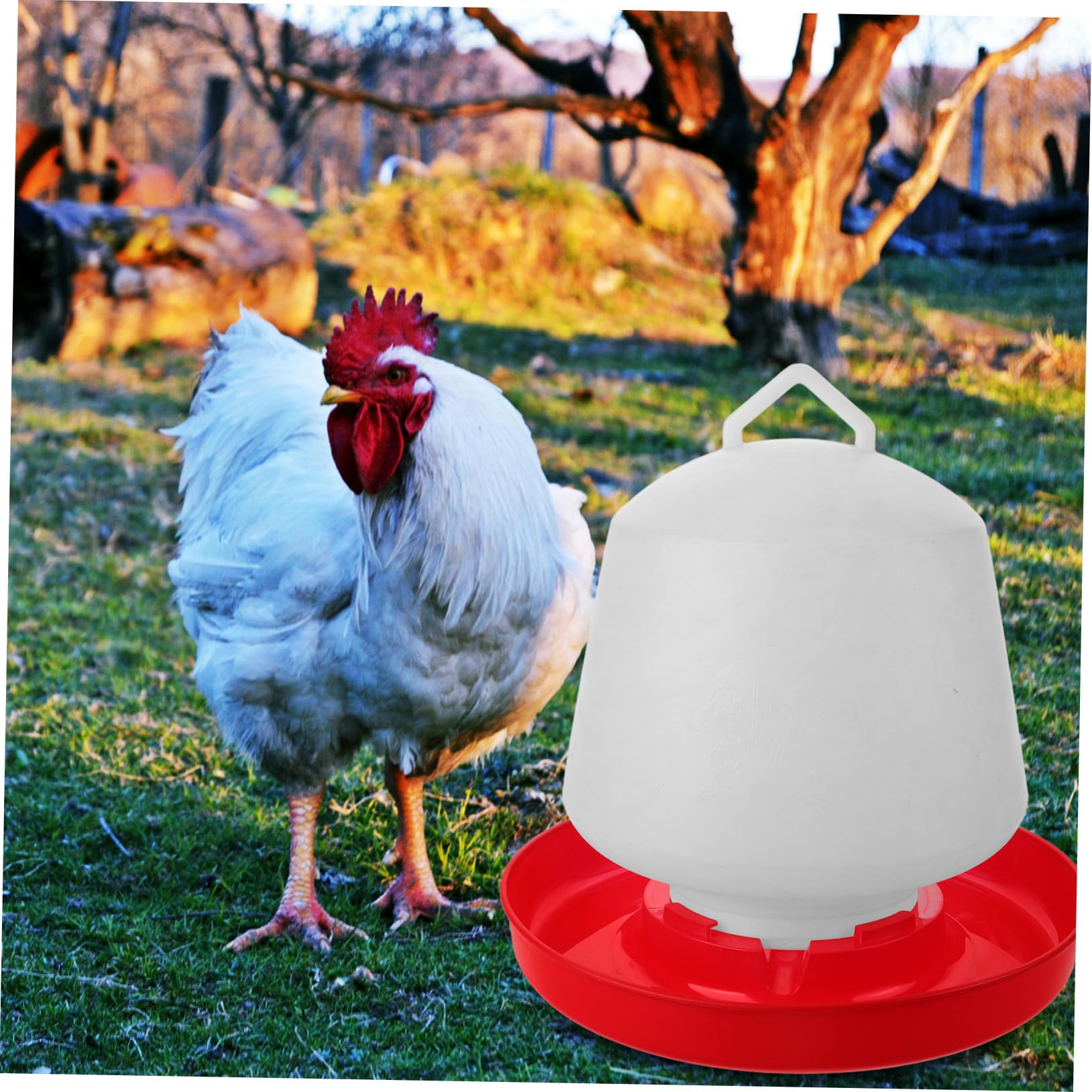 Mangiatoia per Pollame Design Creativo Resistente alle Cadute e Facile da Installare in Plastica Bianca Adatta per Allevamenti All'aperti di Galline e Oche