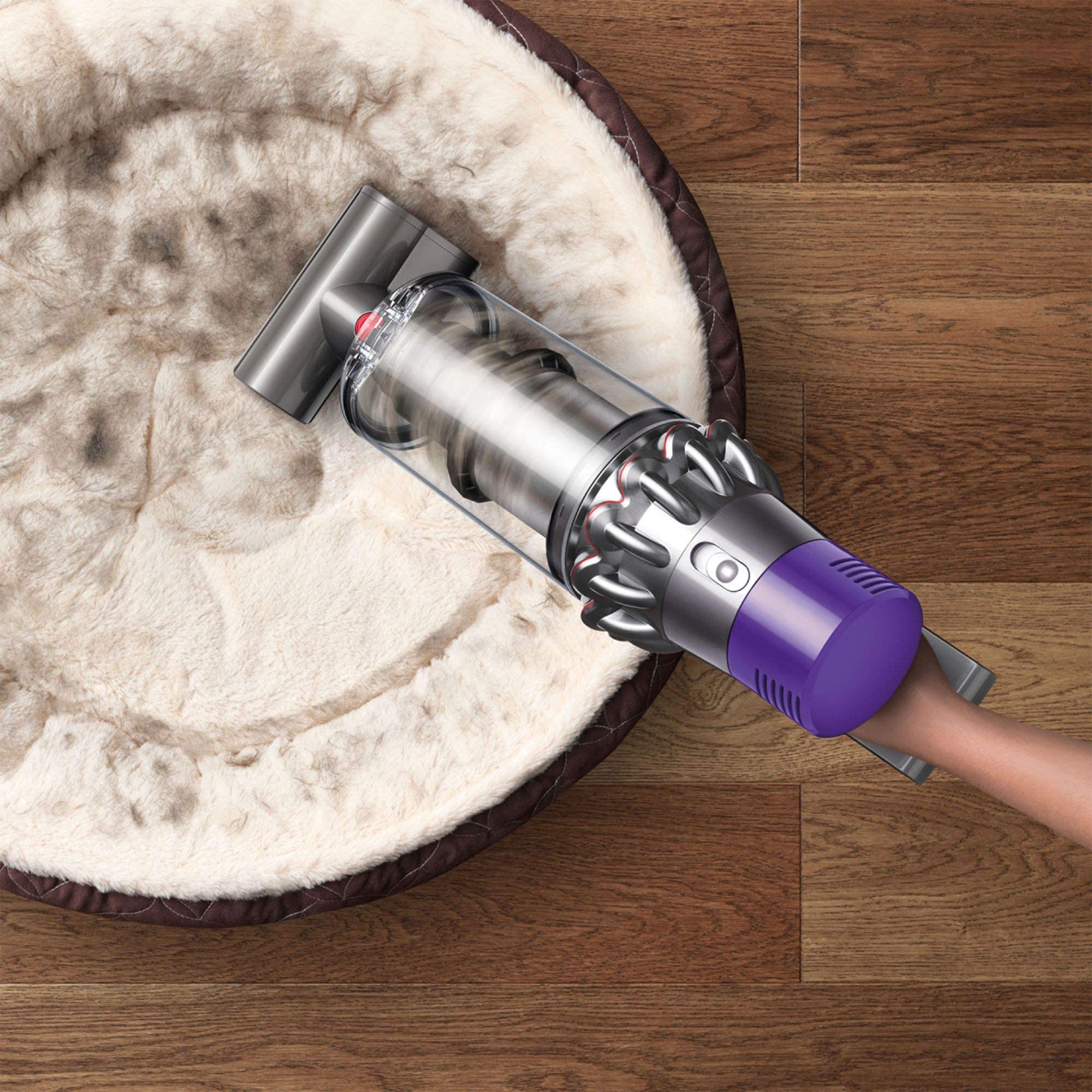 Amazon.com - Dyson 343783-01 Cyclone V10 Animal Cord-Free Stick