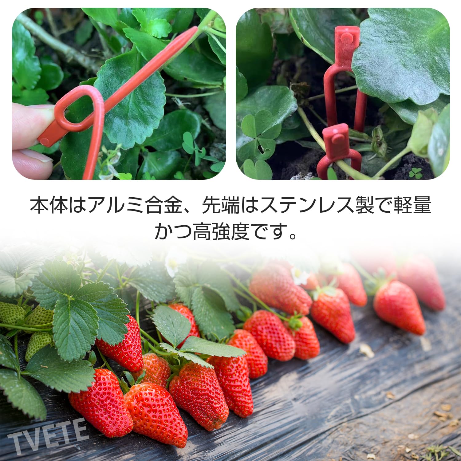 Amazon | 植物サポート【150個入り】ランナーピン 園芸クリップ 植物