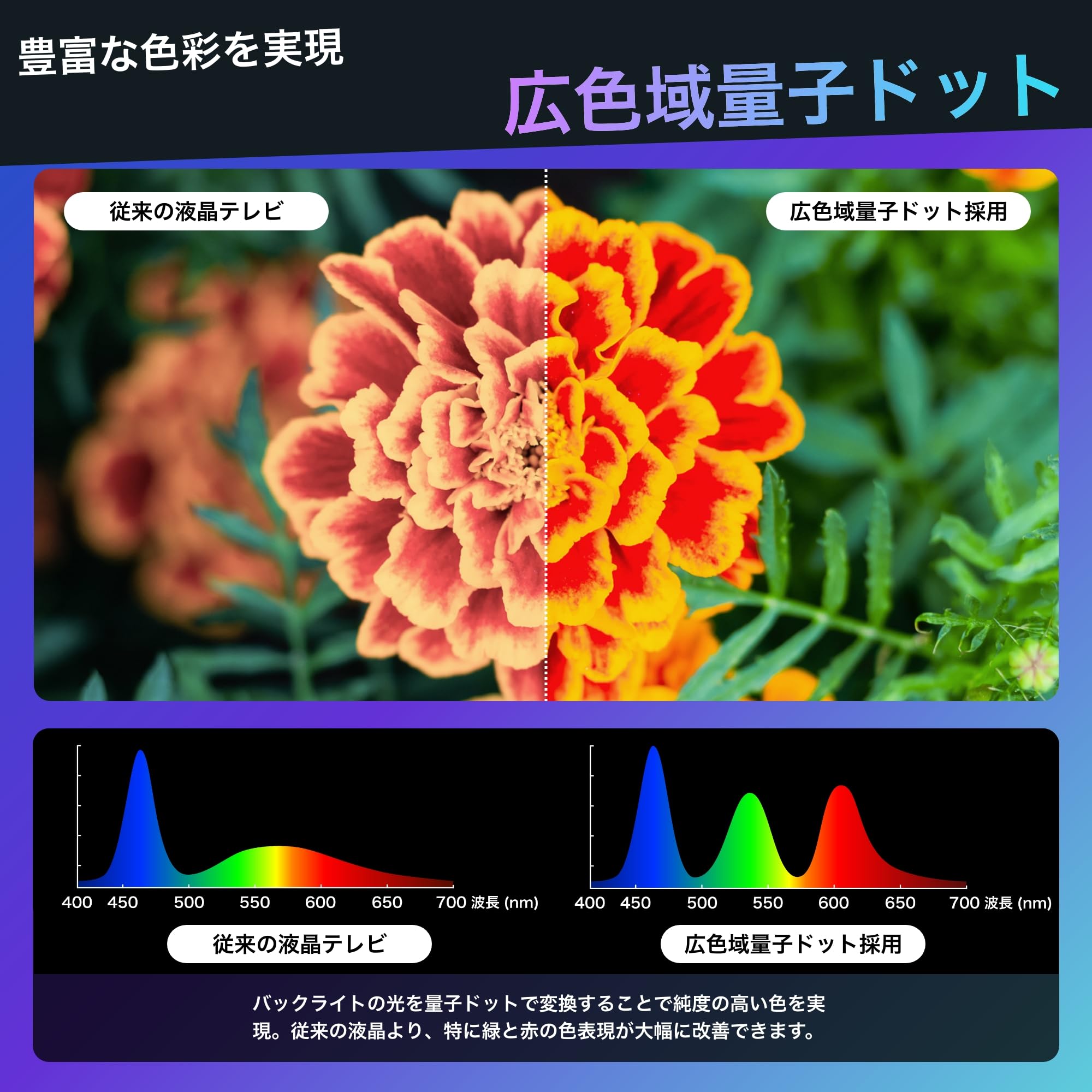 ハイセンス 50V型 4K液晶テレビ 50U7Nサムネイル3