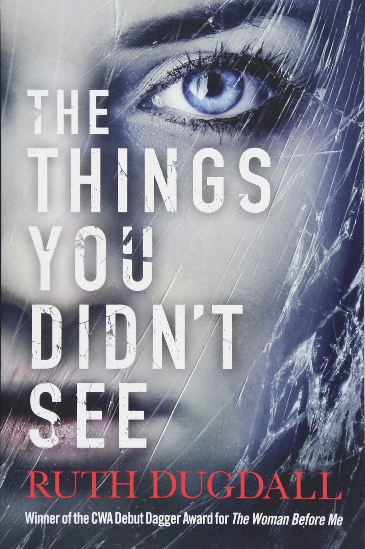 The Things You Didn't See