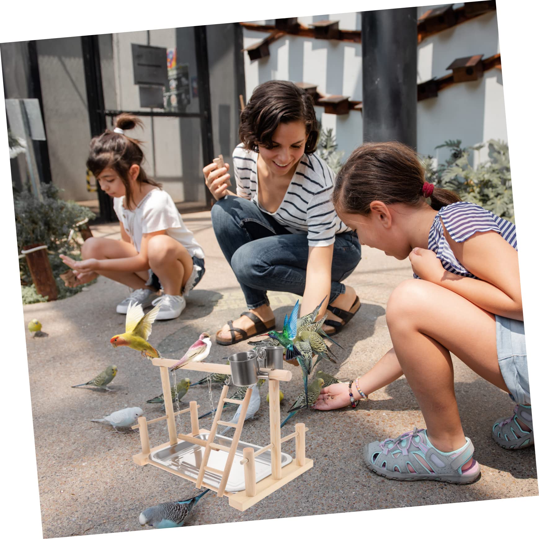 Toyvian Giostra Per Calopsitte Attività Per Uccelli Supporto Gioco Per Pappagallo Palestra Giocattolo Per Uccelli Accessori Per Animali Domestici