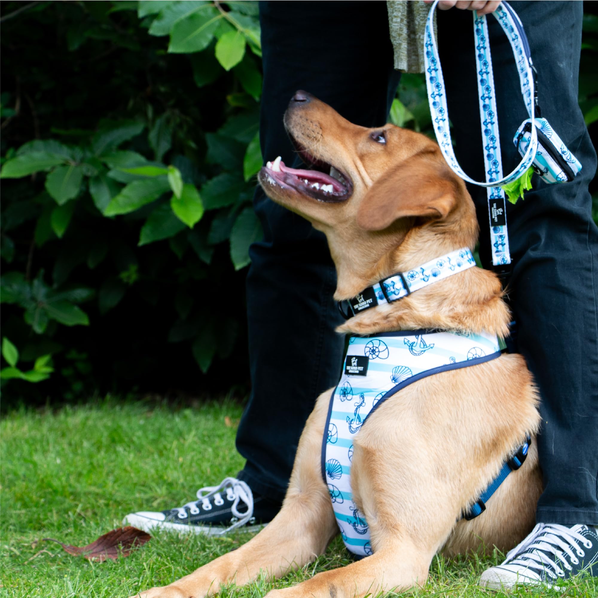 Ancol The Soho Pet Collection Nautical & Coral Reversible Harness Large To Fit 43cm-76cm, White - Image 4