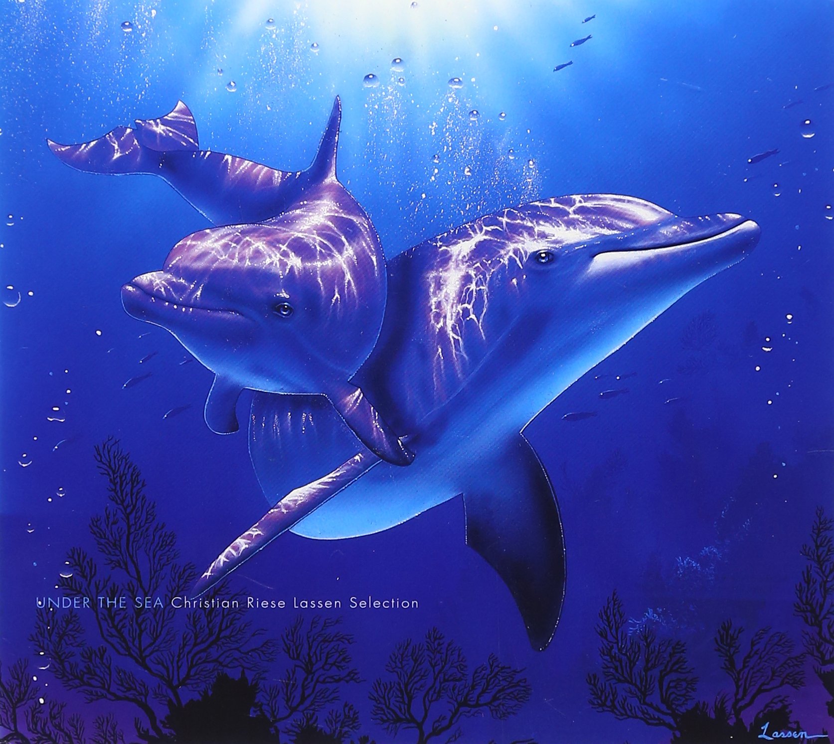 Amazon.co.jp: アンダー・ザ・シー～クリスチャン・ラッセン