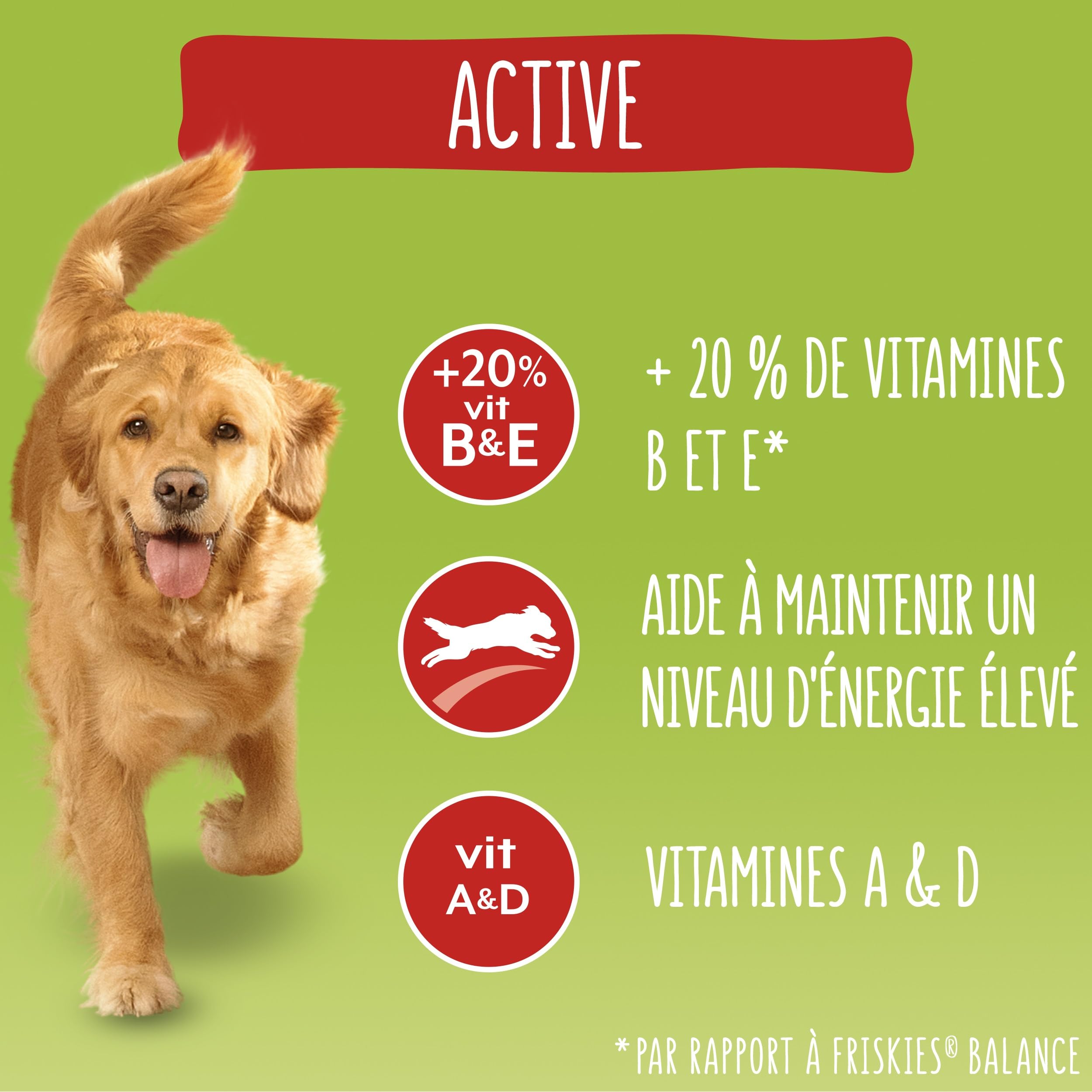 FRISKIES | Active | Chien | Croquettes pour Chiens Adultes | au Boeuf | Aide à Maintenir Un Niveau d'énergie élevé | Sac | 12 KG