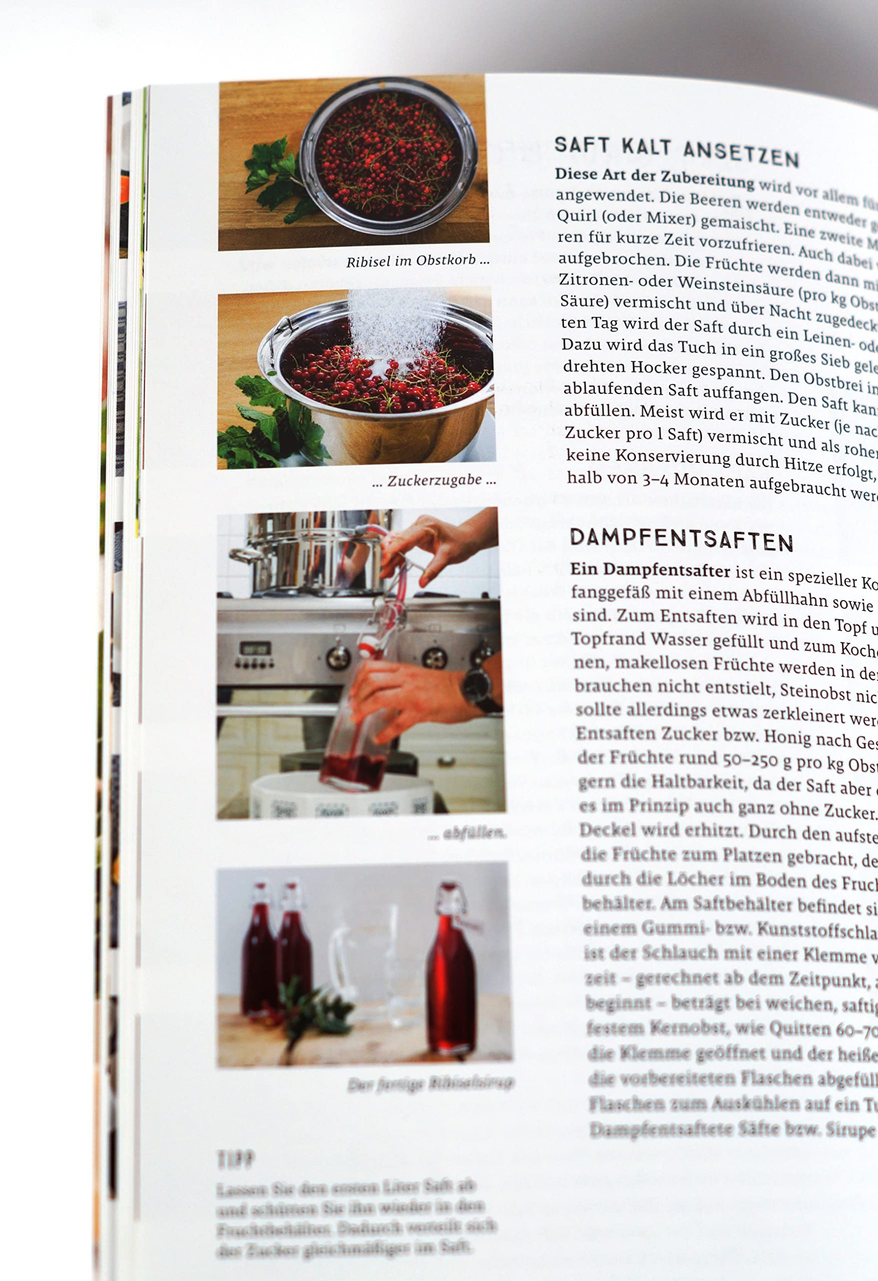 Praxishandbuch natürlich Konservieren: Vorrat aus Gemüse, Obst und Kräutern das ganze Jahr genießen. Alle Methoden & einfache Rezepte zum Haltbarmachen: Marmeladen, Chutneys, Relish, Pickles.