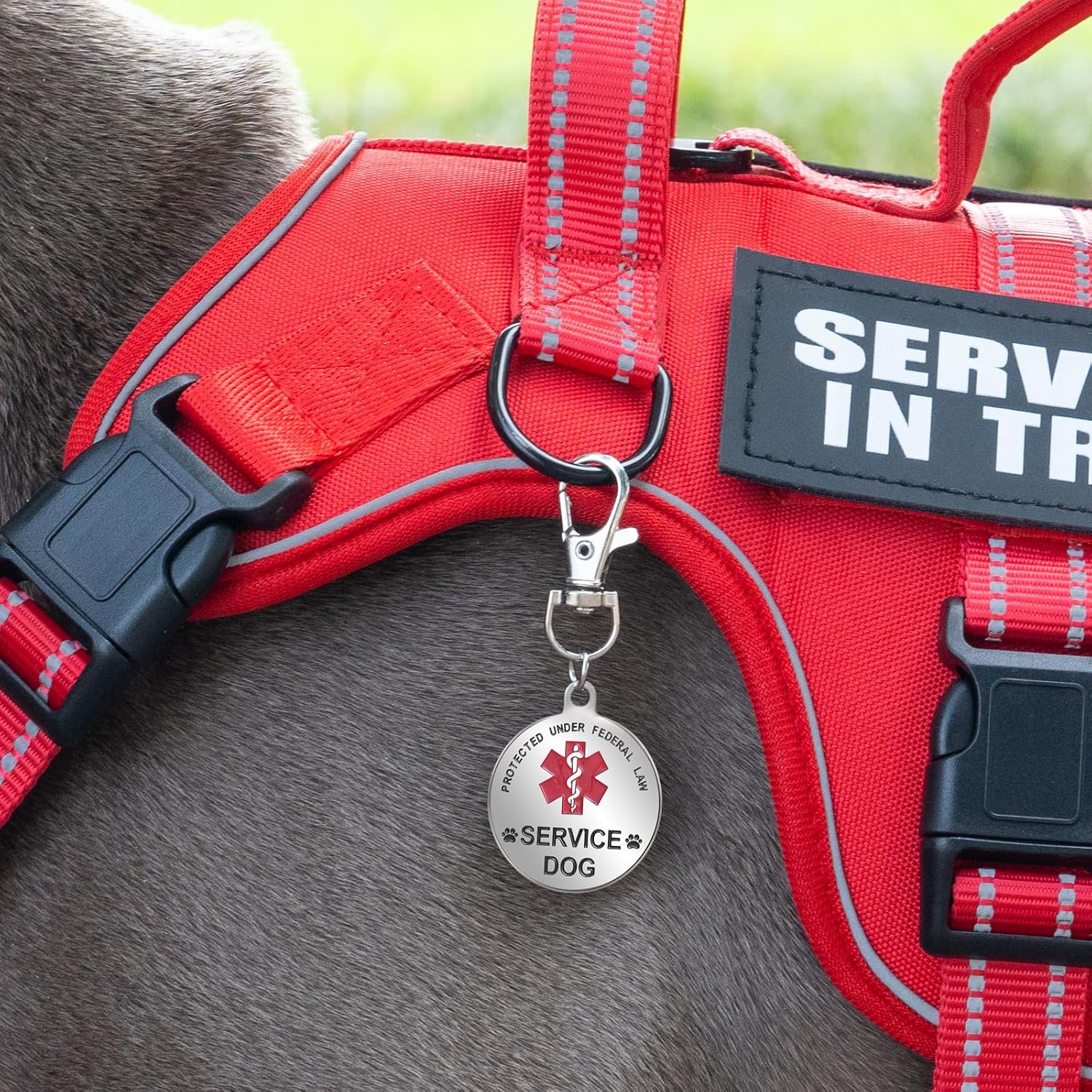 Service Dog Harness + ID Tag 50 ADA Information Cards - No Pull Dog Vest 10 PCS Removable Patches - Reflective Emotional Support Animal Vest for Medium Dogs - Adjustable Breathable ESA Training Vest