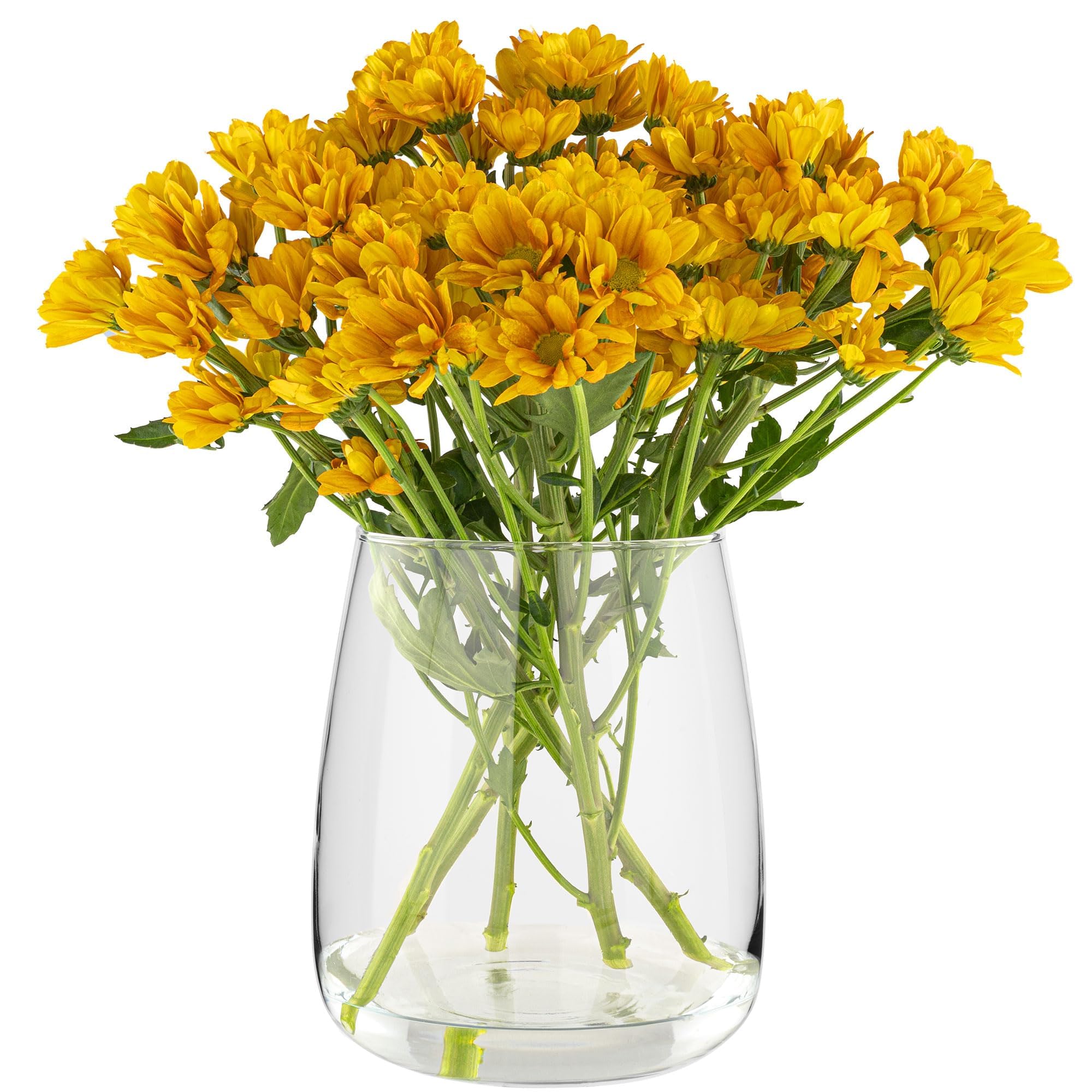 TREND FOR HOME Vaso Grande da Interno A: 22.7 cm Vetro Trasparente Rotondo per Pampas per Rose Tulipani Decorazioni Matrimonio Fiori, Ø 19 cm, 5090 ml, Zinnia