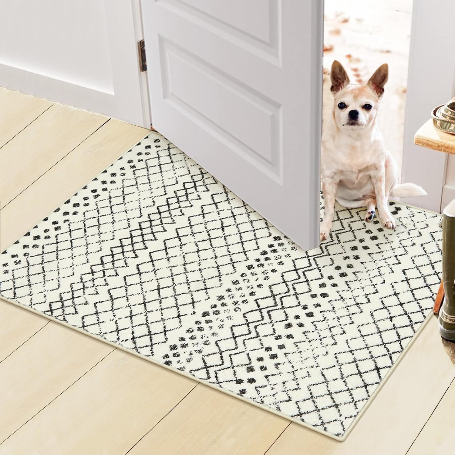 Geometric Front Door Mat Indoor Entrance 2'x3', NonSlip