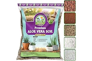 Premium Aloe Vera Soil Blend for Optimal Plant Growth