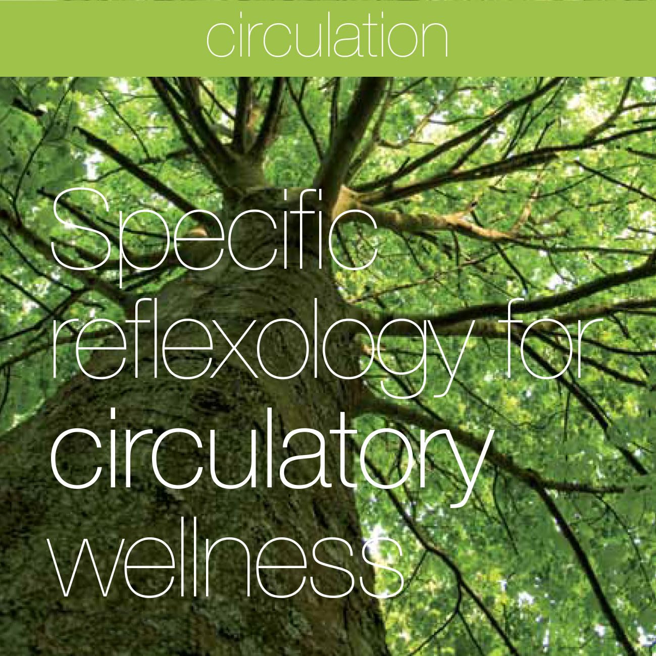 DONNA soletta per scarpe massaggiante, sottopiede per riflessologia plantare con effetto antiodore.Utile per circolazione, stanchezza gambe, articolazioni, relax, digestione(Circulation,36)