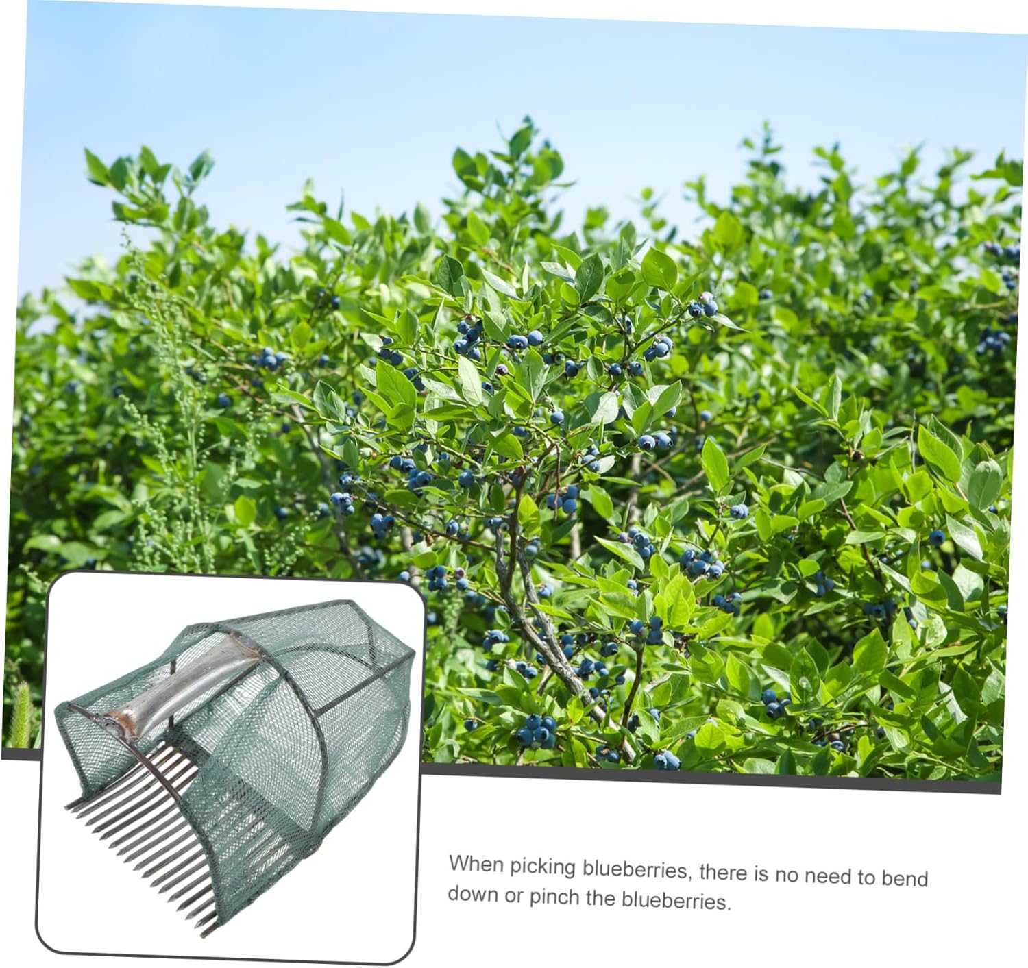 GANAZONO Convenient Blueberry Picking Scoop Berry Picker Rakes Garden Fruit Picker for Outdoor Use
