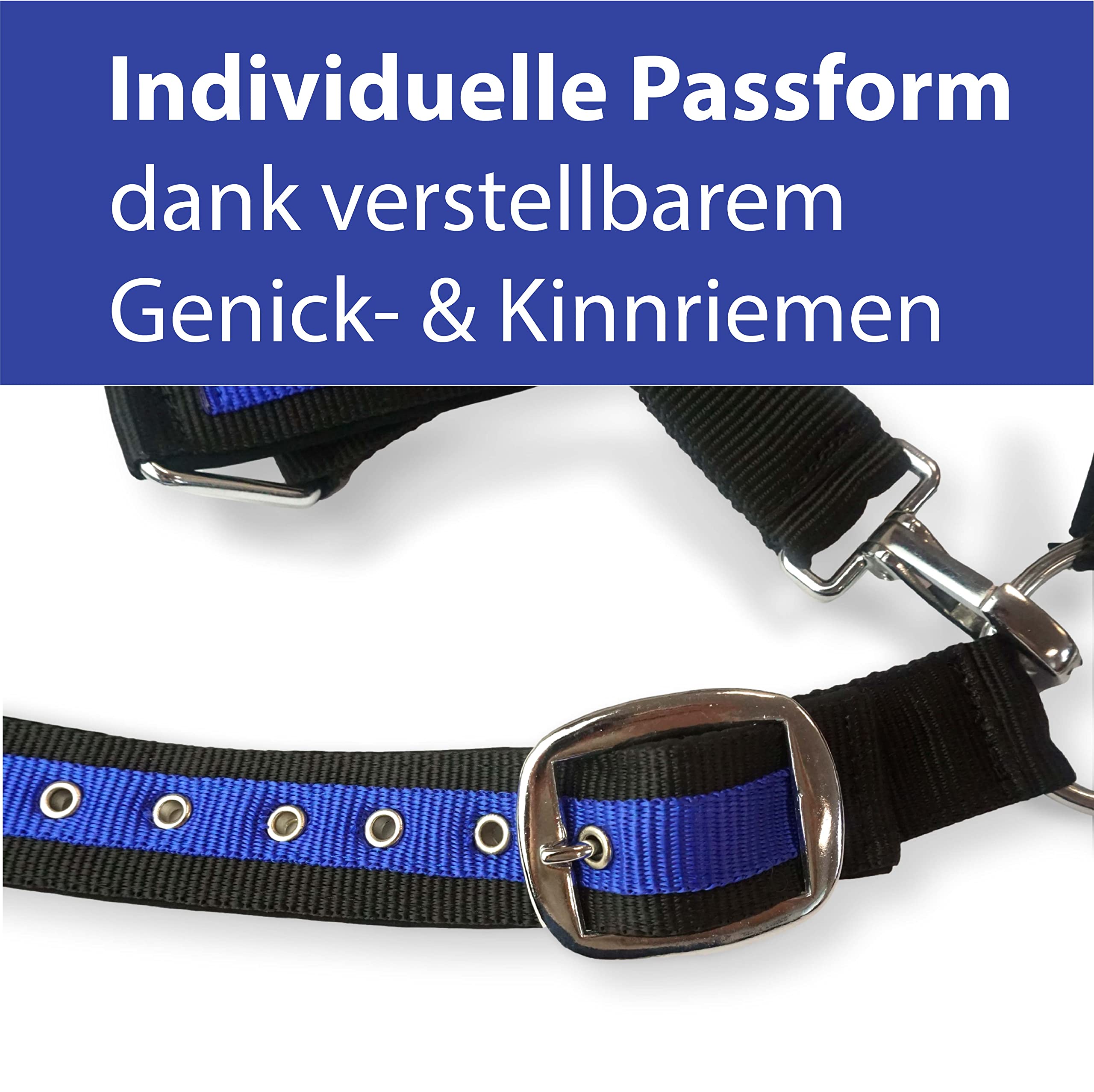 Halfter für Pferde Kaltblut | Halfter xxfull, Stallhalfter| Halfter verstellbar 2 Fach an Kinnriemen & Genickstück (Schwarz-Royalblau, XXFull (Kaltblut))