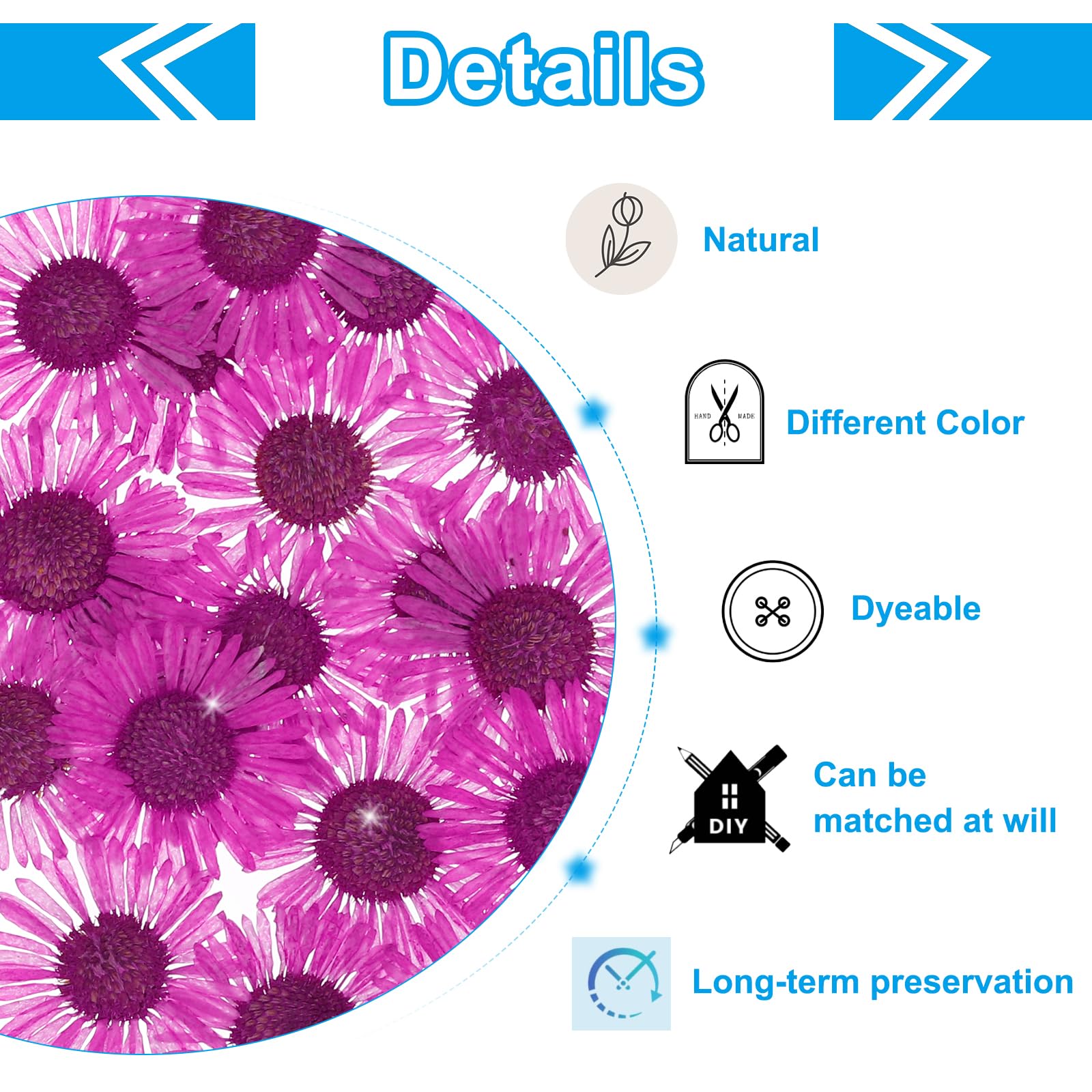 PATIKIL Dried Pressed Flower - Image 3