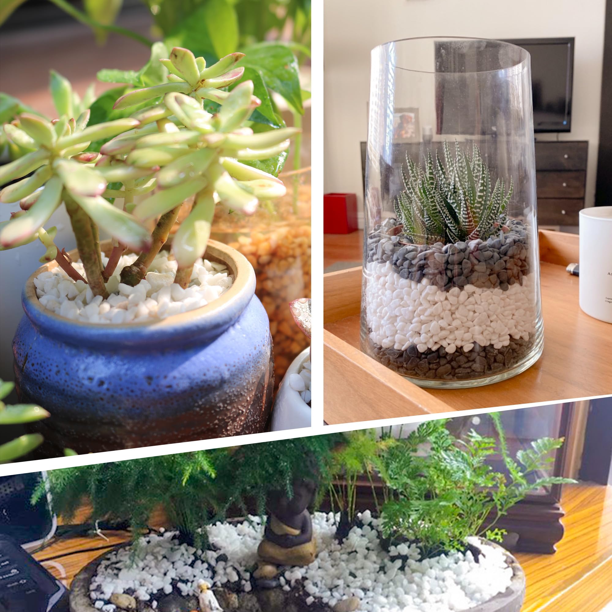 Grava blanca de 45 libras de 1/4 pulgadas para suculentas, bonsái de cactus, terrario de bricolaje, jardinería de hadas, aderezo superior, acuario