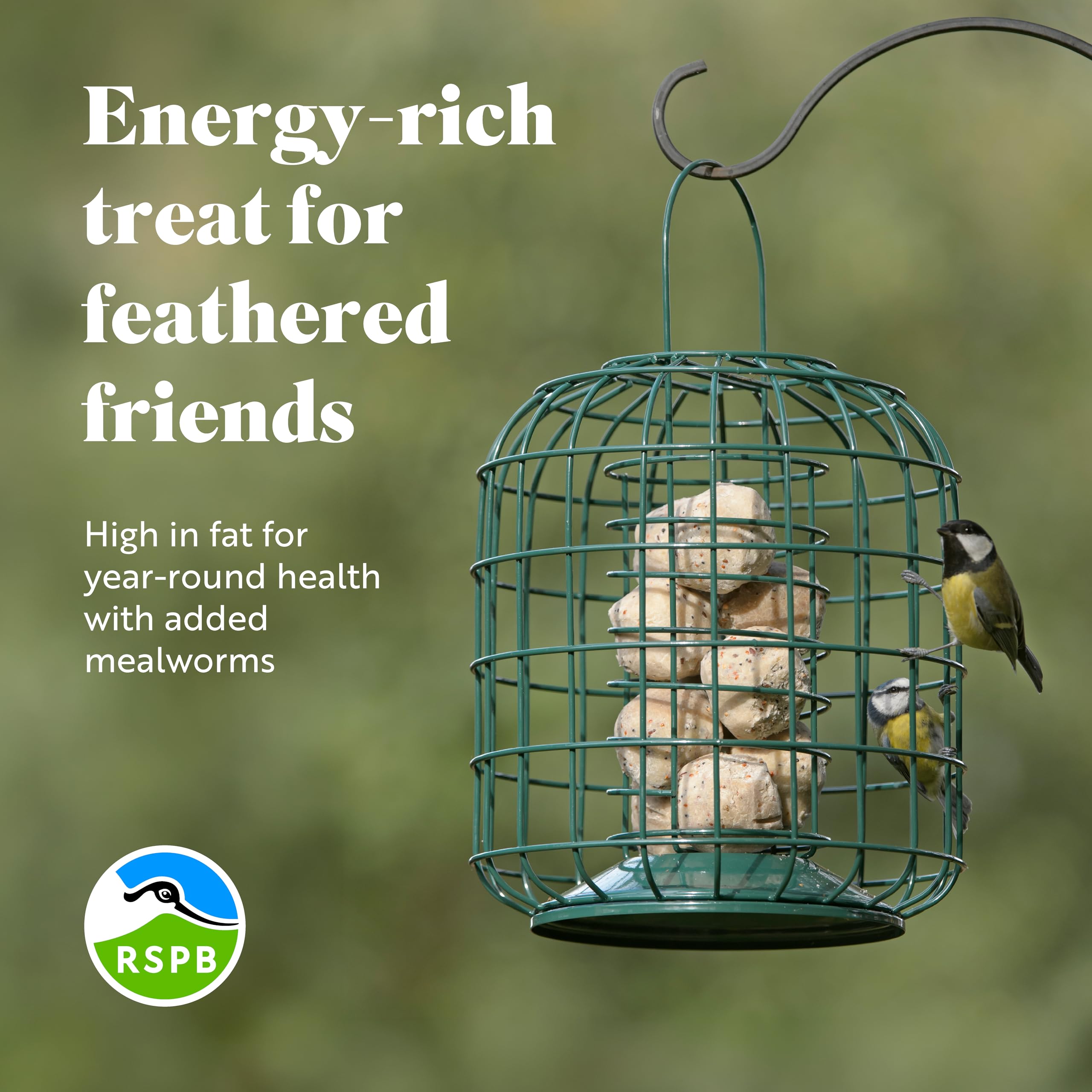 RSPB - Palline di grasso, cibo per uccelli da esterno, palline di suet ad alta energia con vermi della farina, prodotte nel Regno Unito, deliziose e nutrienti, adatte per l'alimentazione tutto l'anno