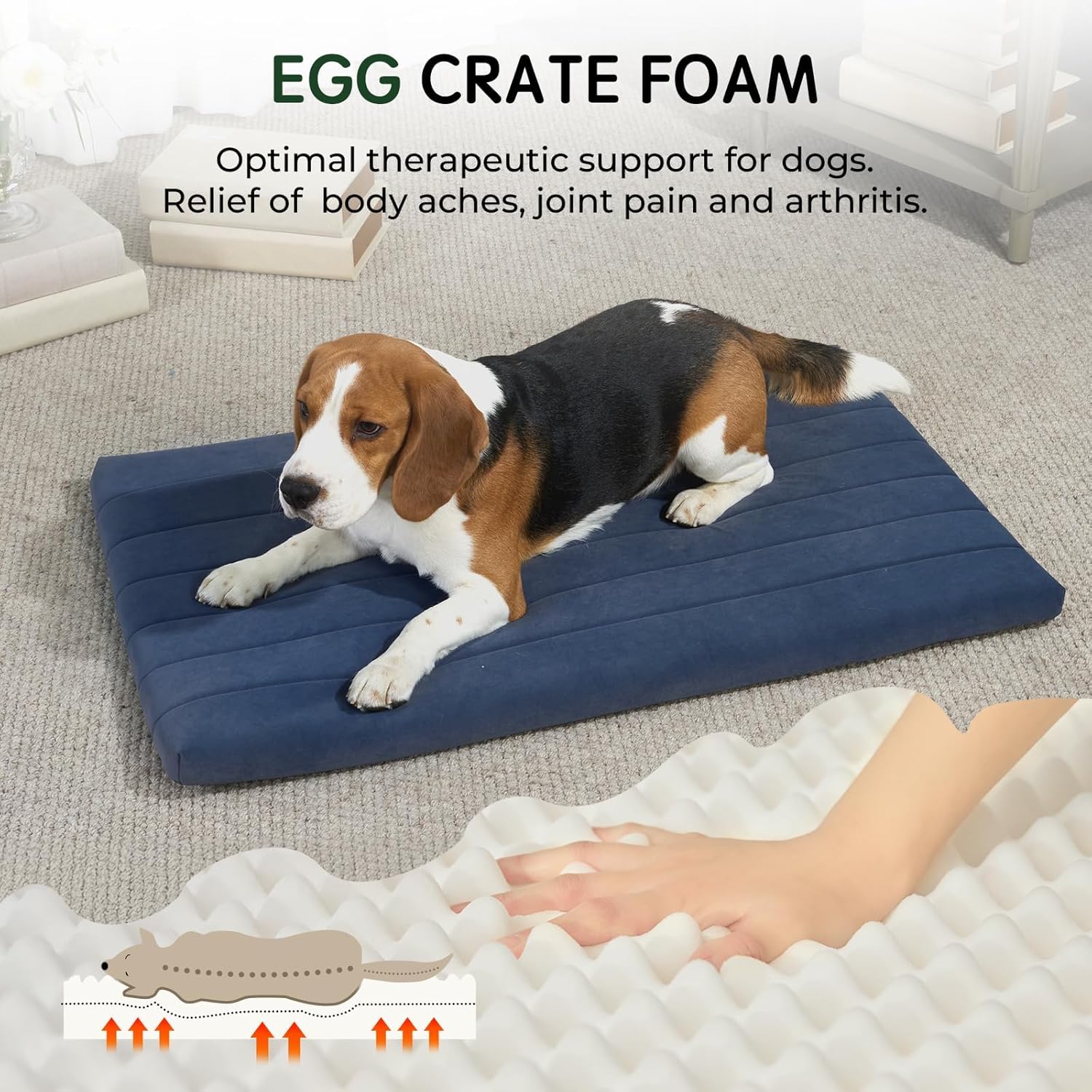 Comfort and Support: The Ultimate BALANCE Orthopedic Dog Crate Bed Review