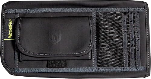 Plasticolor 006191R01 WeatherPro Organizador de visera solar para auto, camión o SUV, organizador de bolsillo interior para automóvil, soporte para