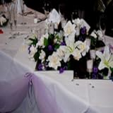 al waha tabak hersteller Get access to the most complete and accurate Nour al Waha Siwa Oasis details .