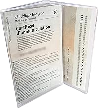 Card Case Grey Crystal Transparent Made in France Car Paper Holder, Transparent/Green, ouvert : 27 x 13.5 x 0.1 cm, Classic