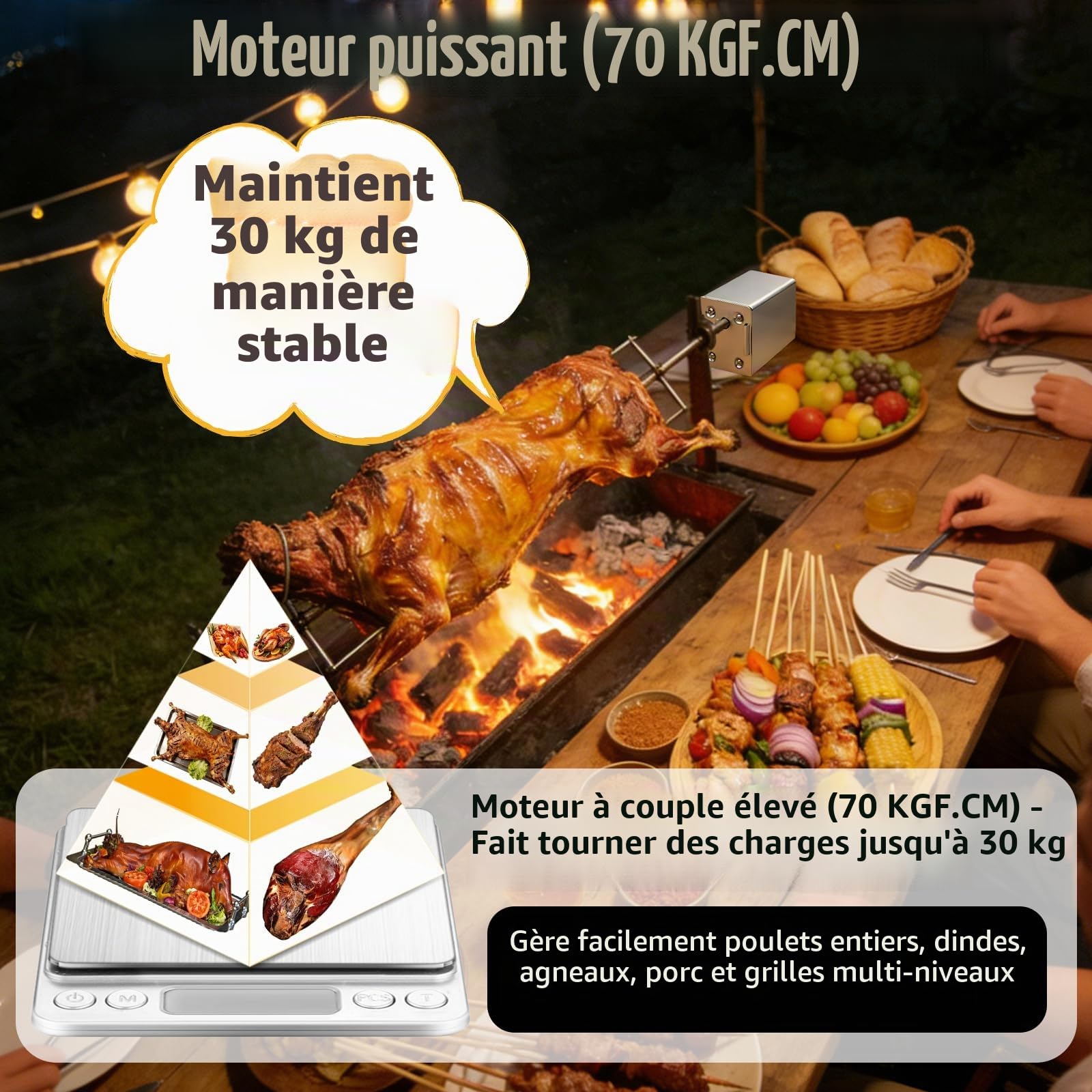 Moteur Tourne Broche Électrique pour Rotissoire Poulet, Moteur Barbecue Électrique 220V pour Rotissoire Verticale, Capacité de 30 kg, pour Barbecues en Extérieur, Réunions de Famille, Pique-Niques