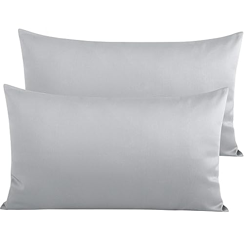 NTBAY Egyptian Cotton King Pillowcases - Set of 2, 500