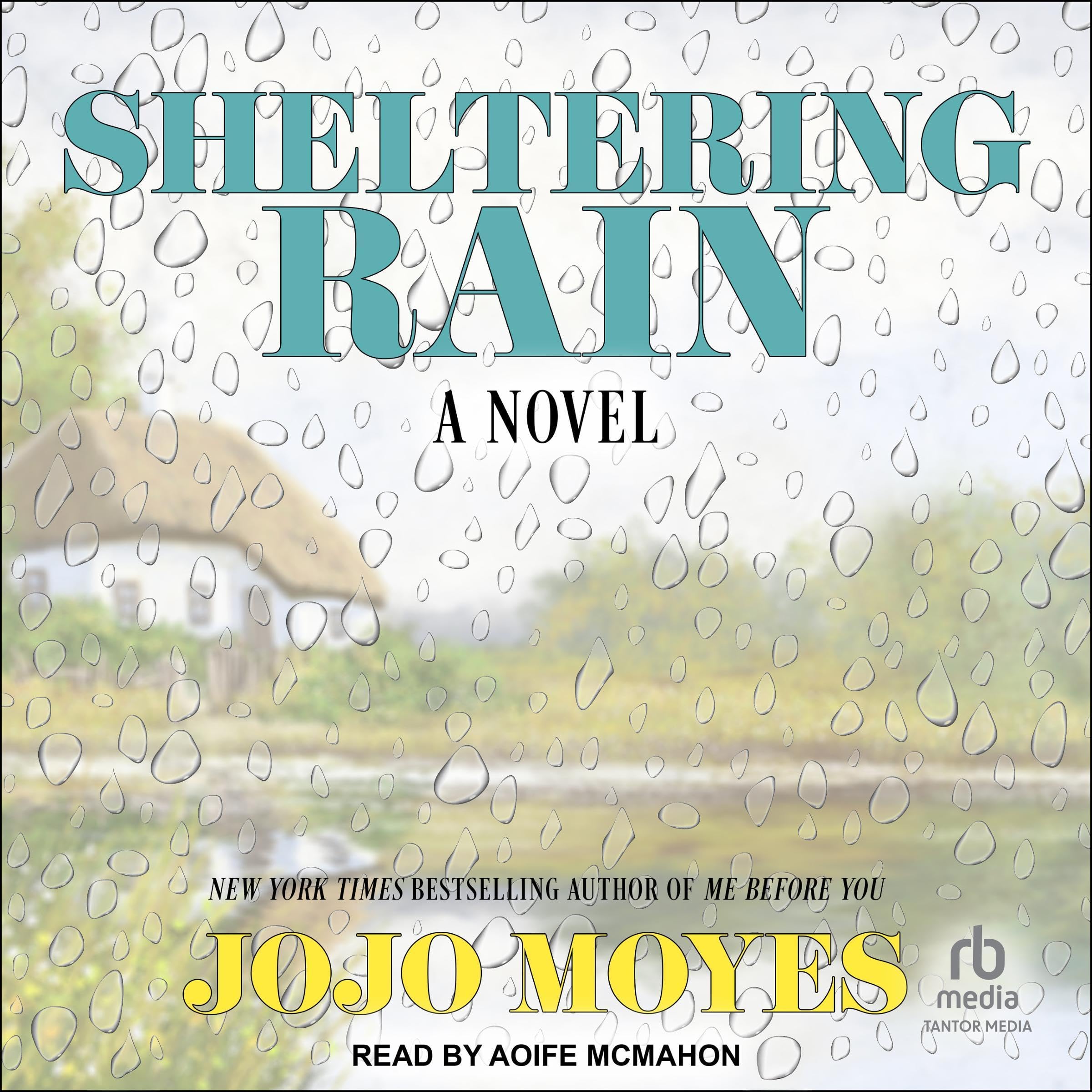 Cover art for Sheltering Rain